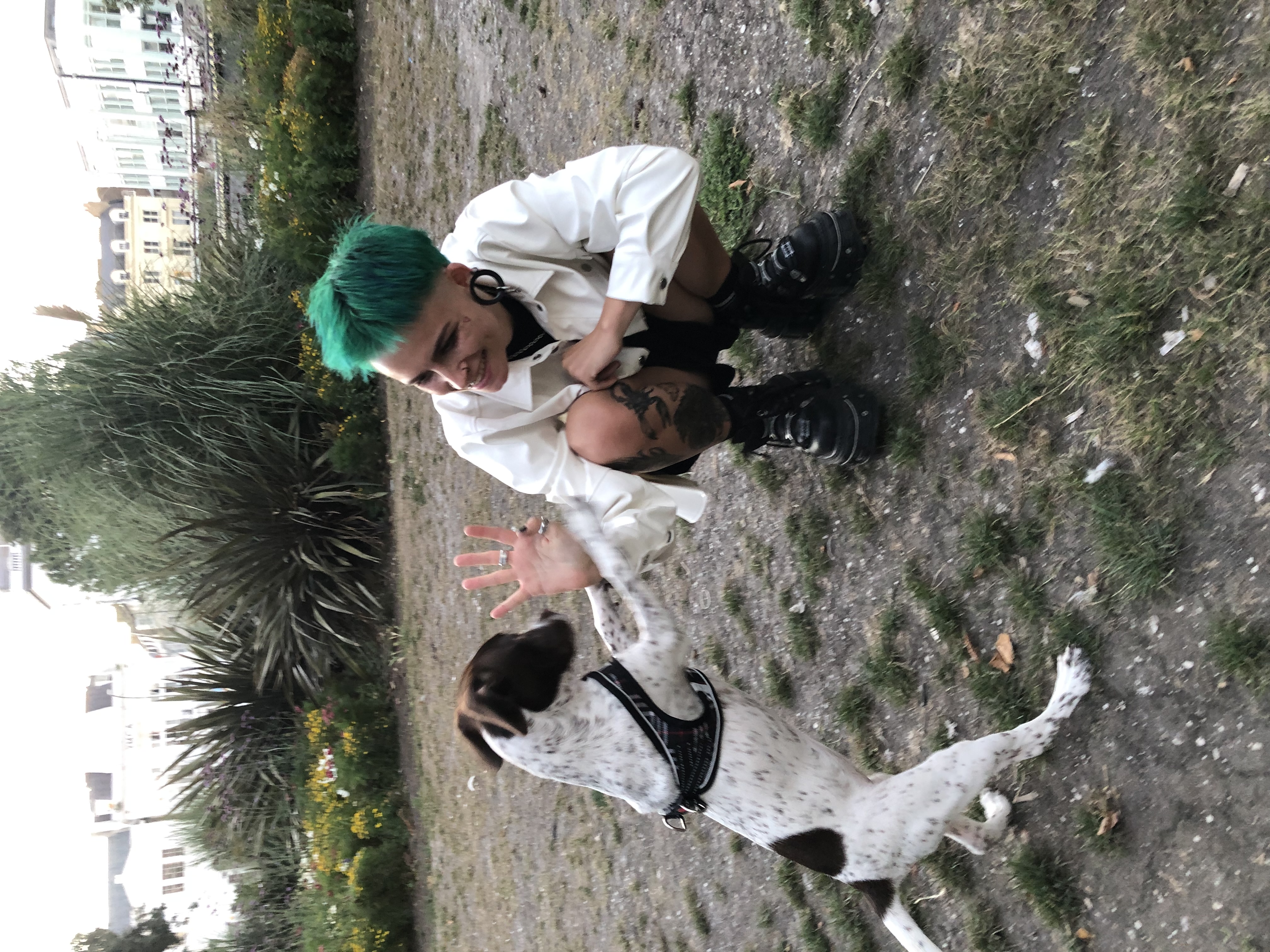 image-4