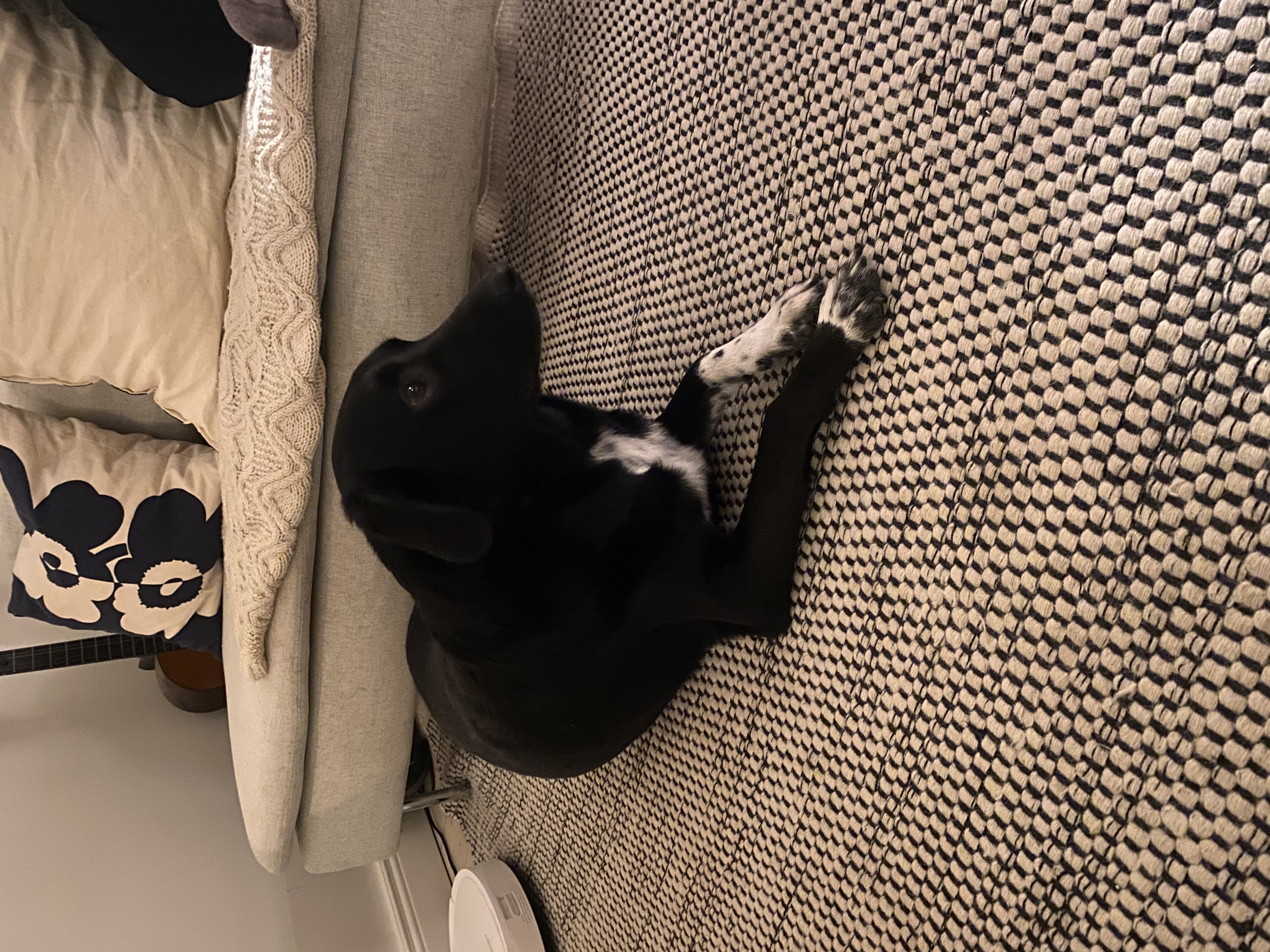 image-8