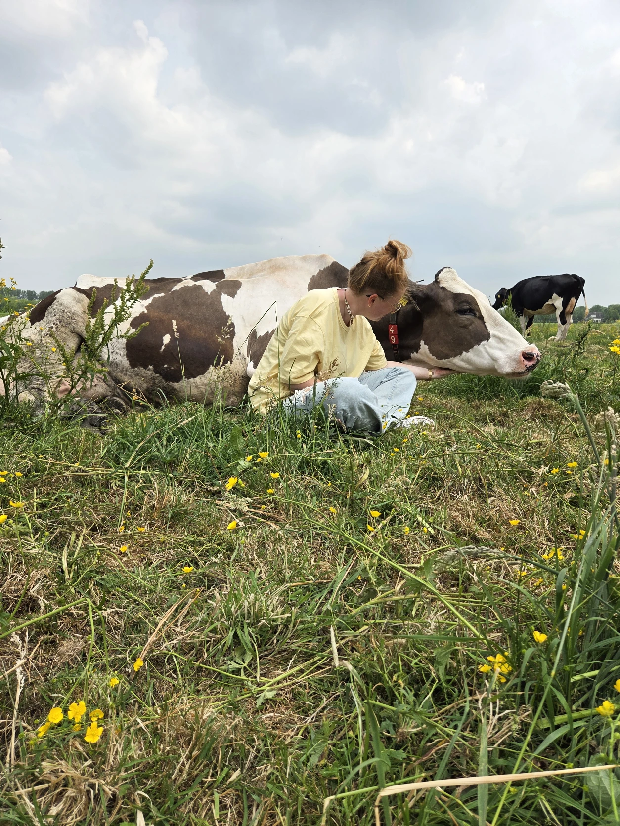 image-6