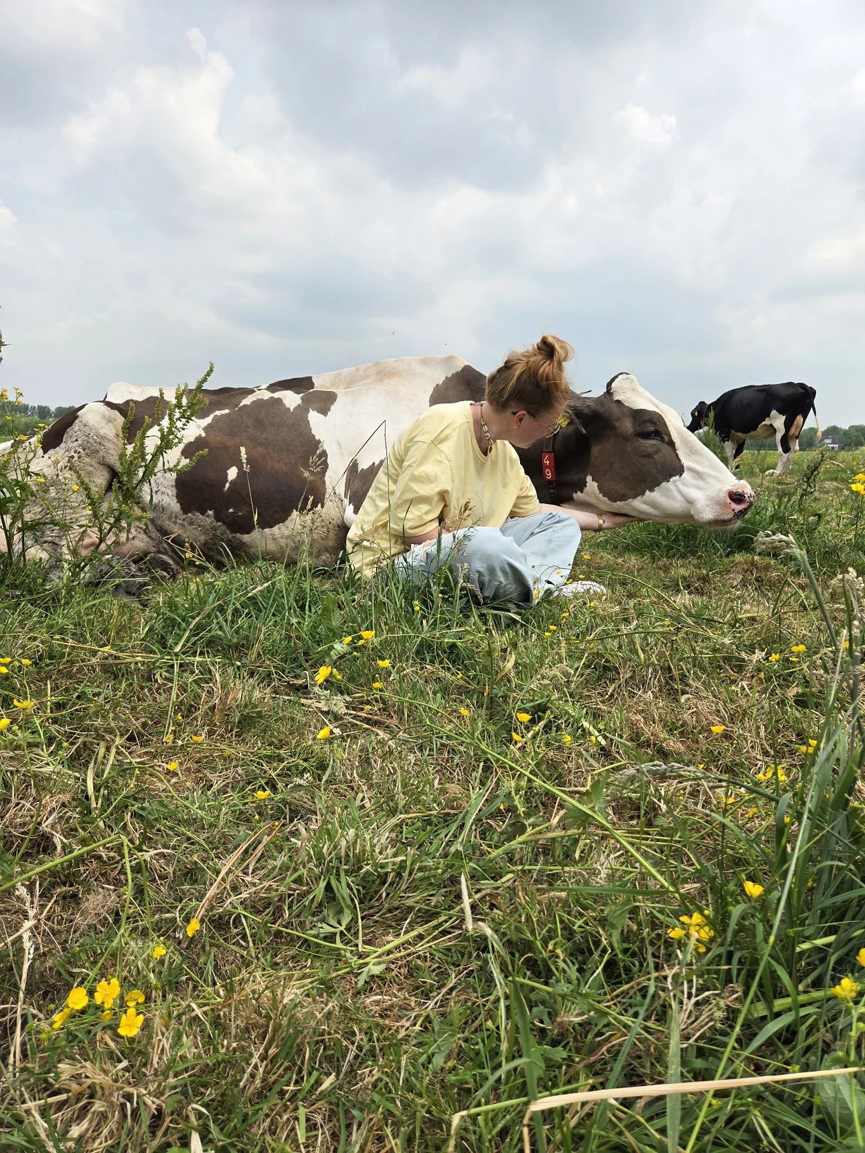 image-6