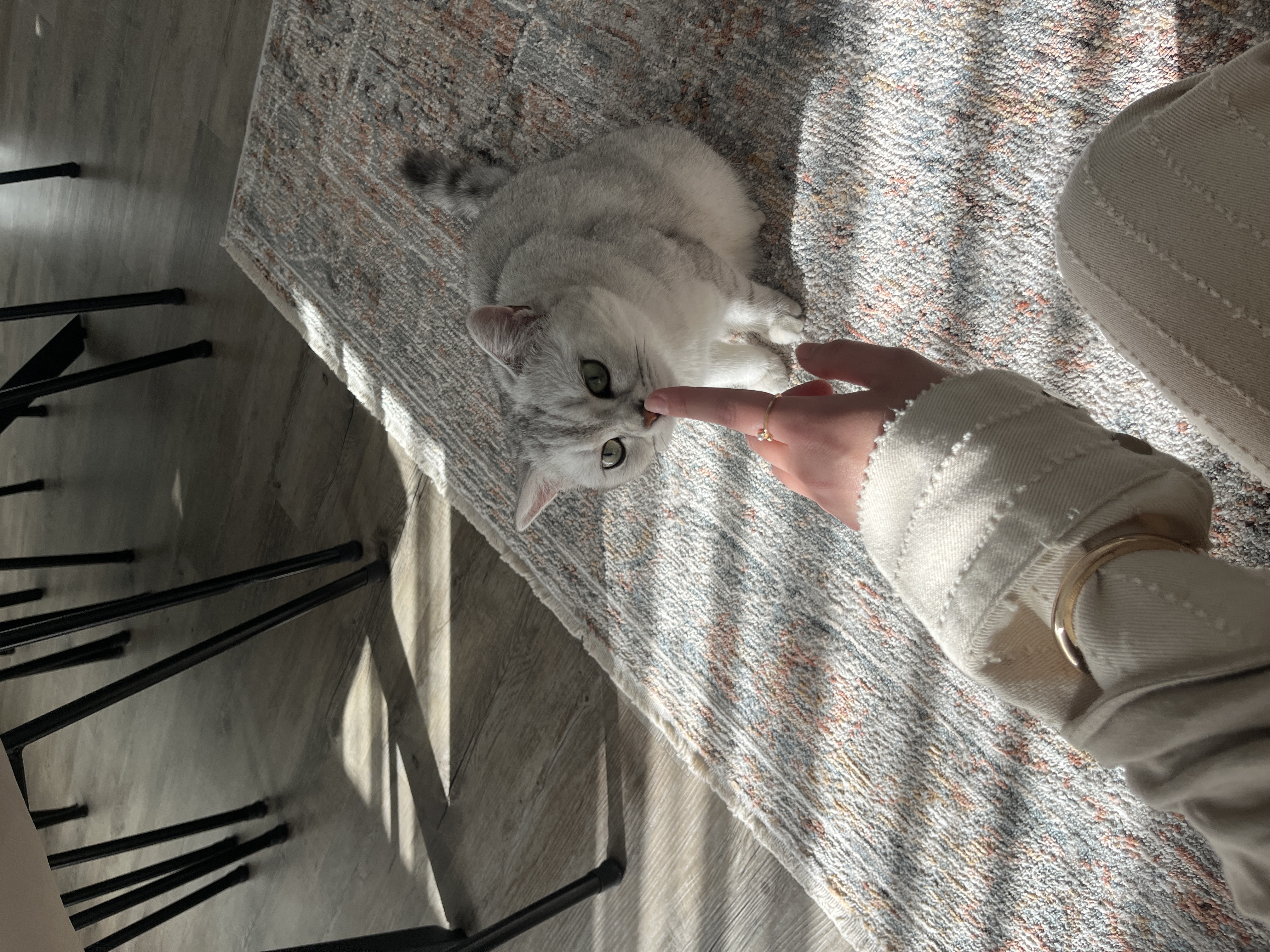 image-7