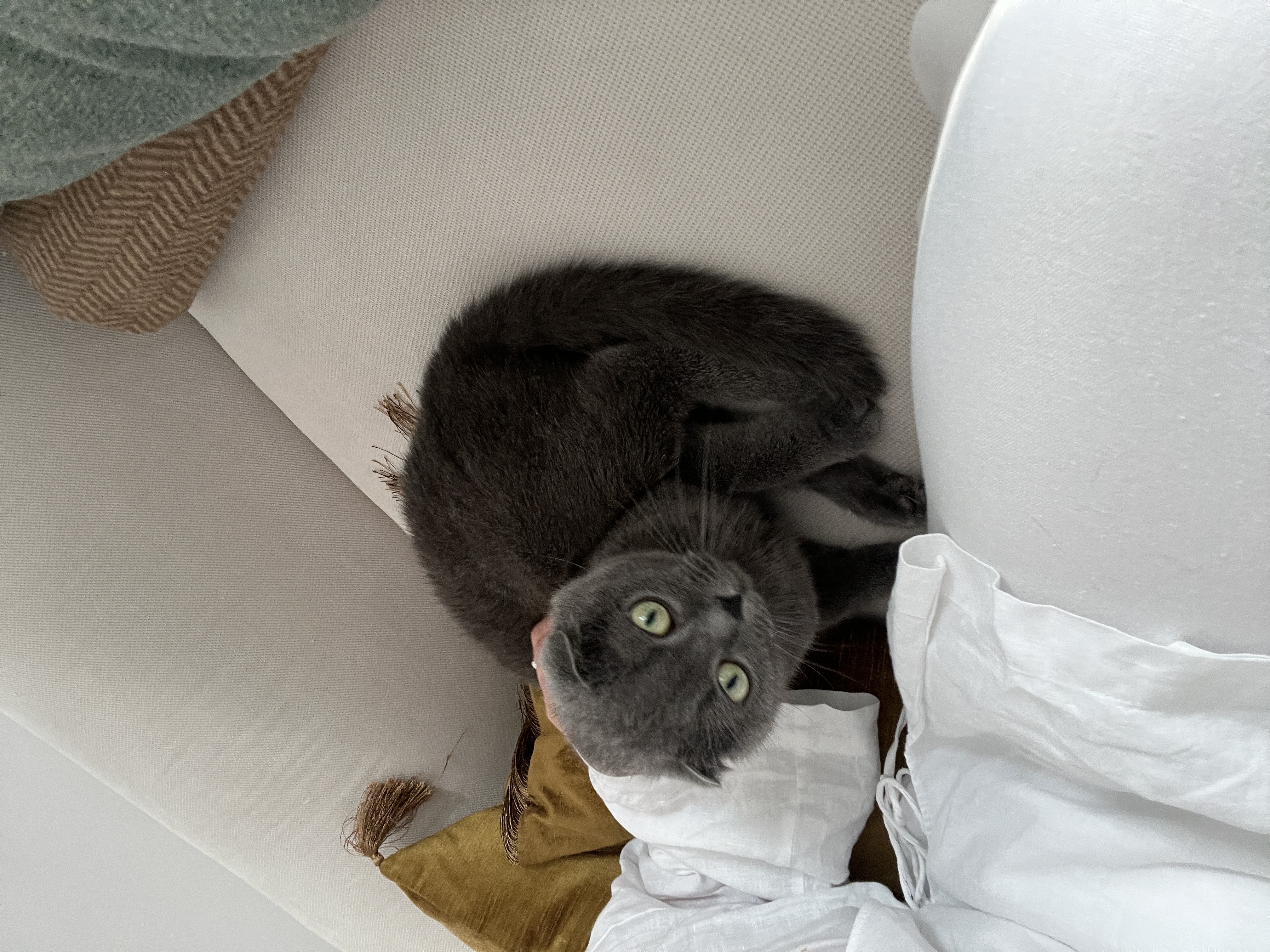 image-9