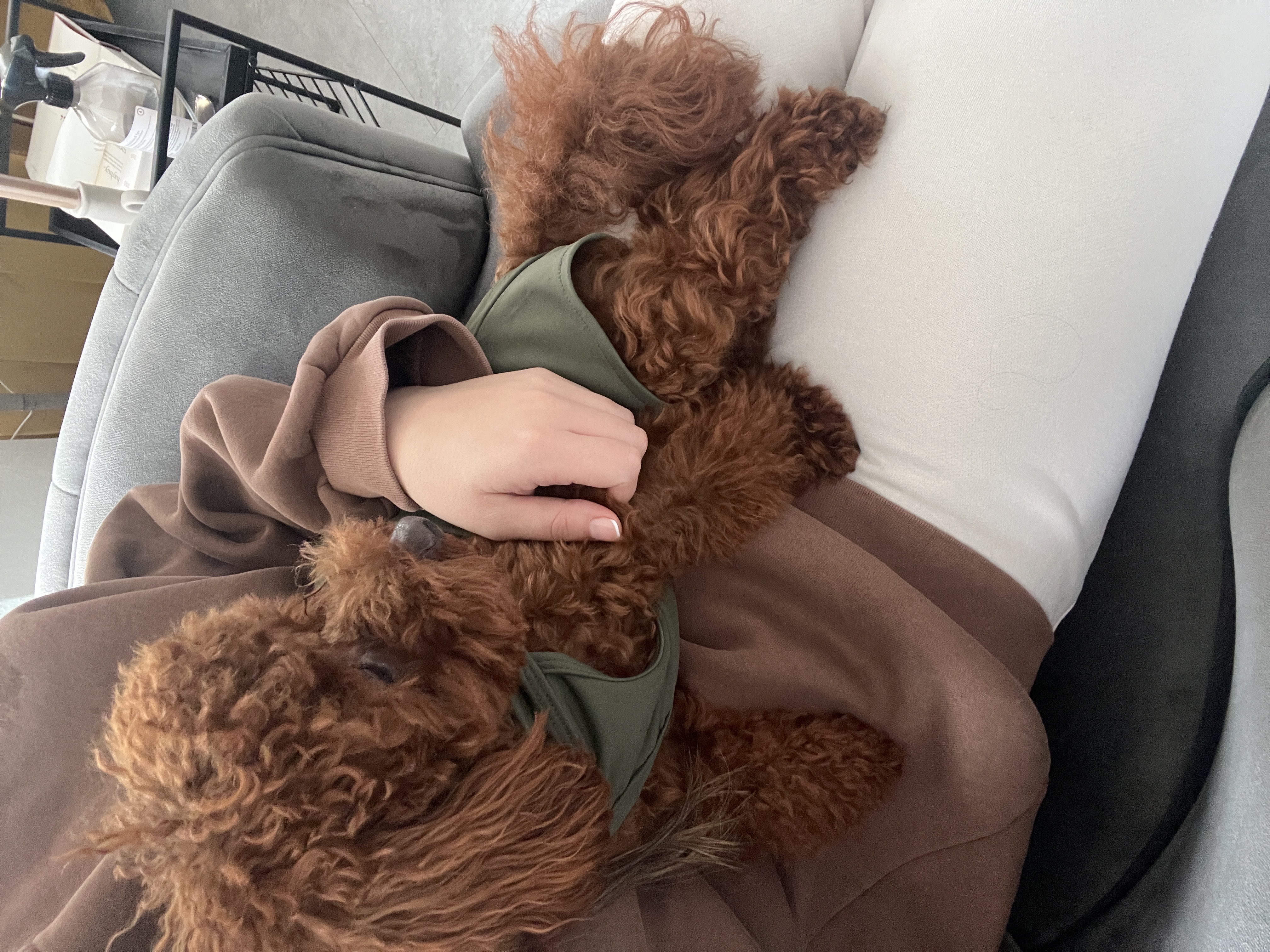 image-6