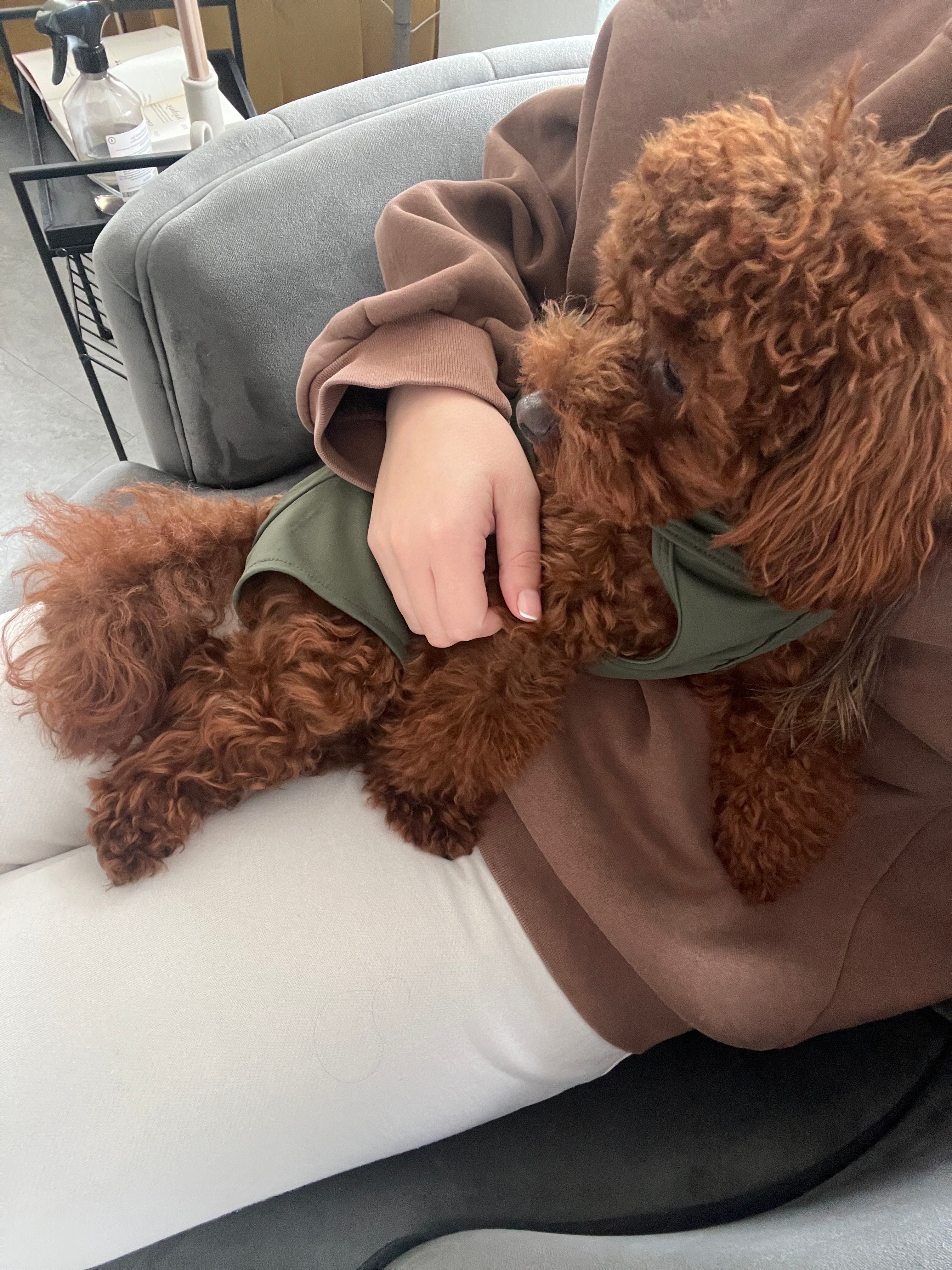 image-6