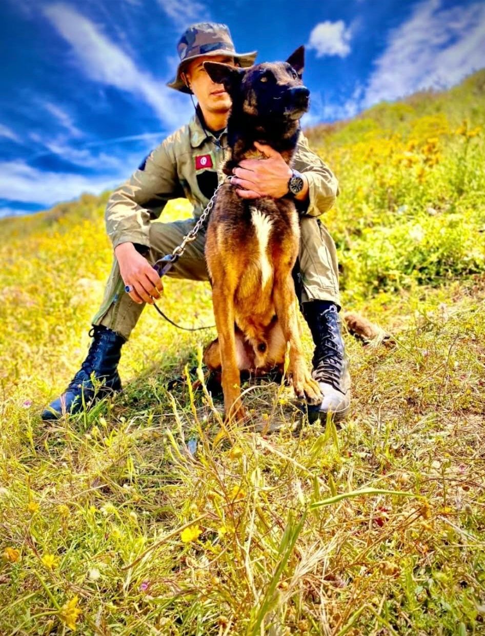image-4