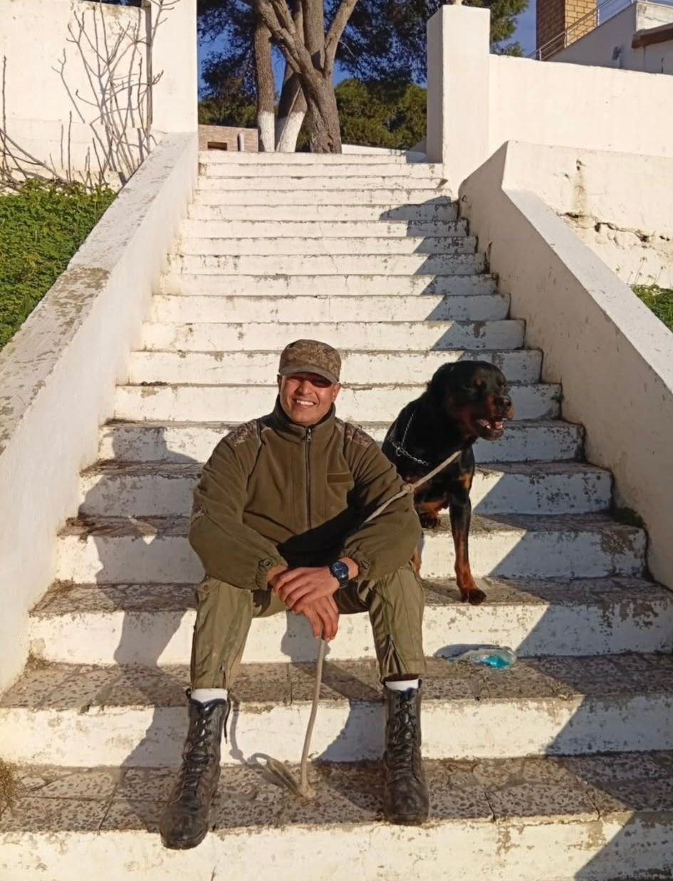 image-6