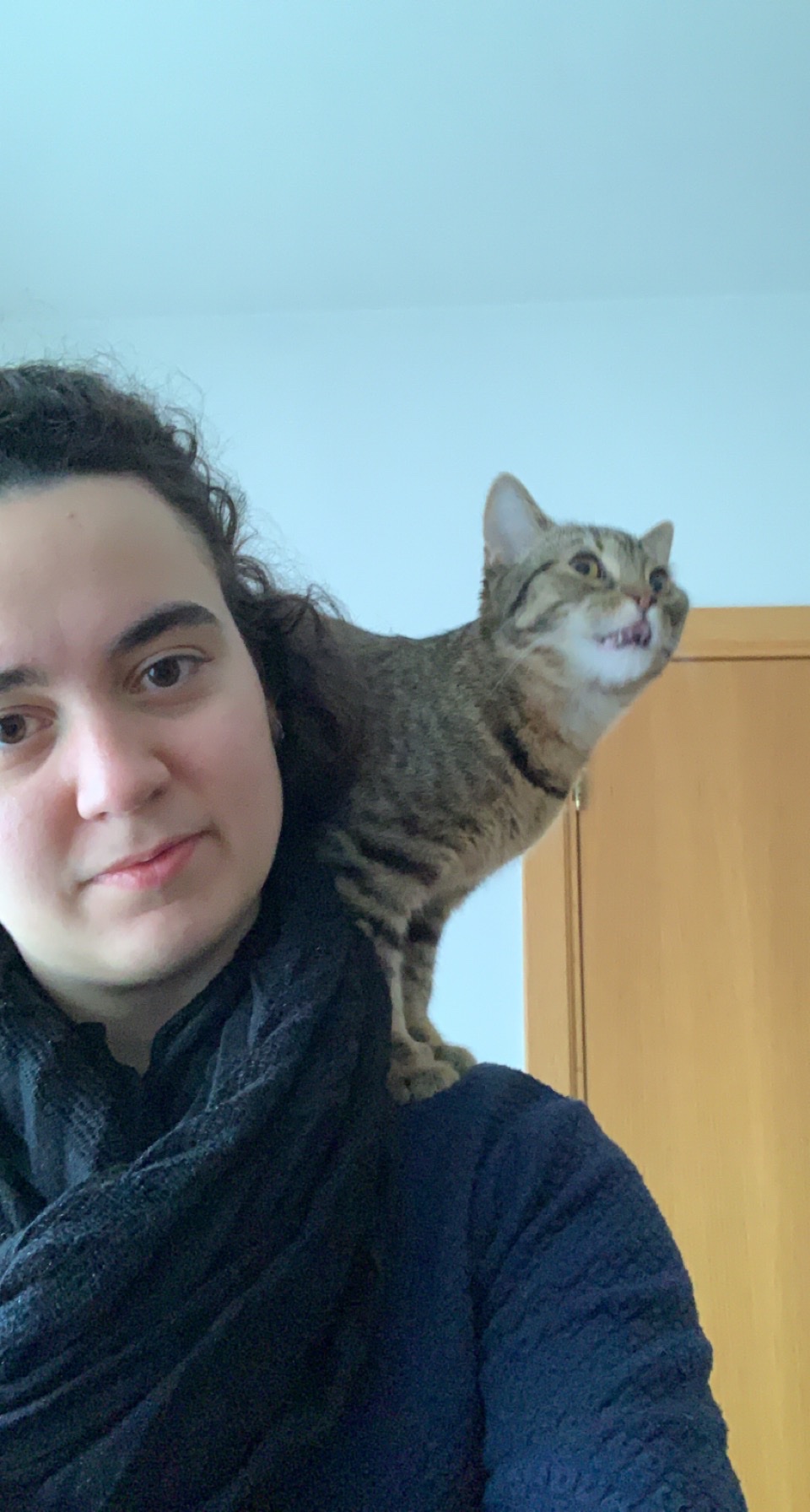 image-5
