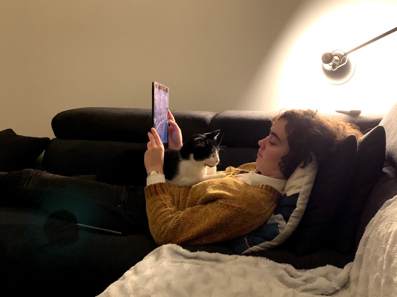 image-7