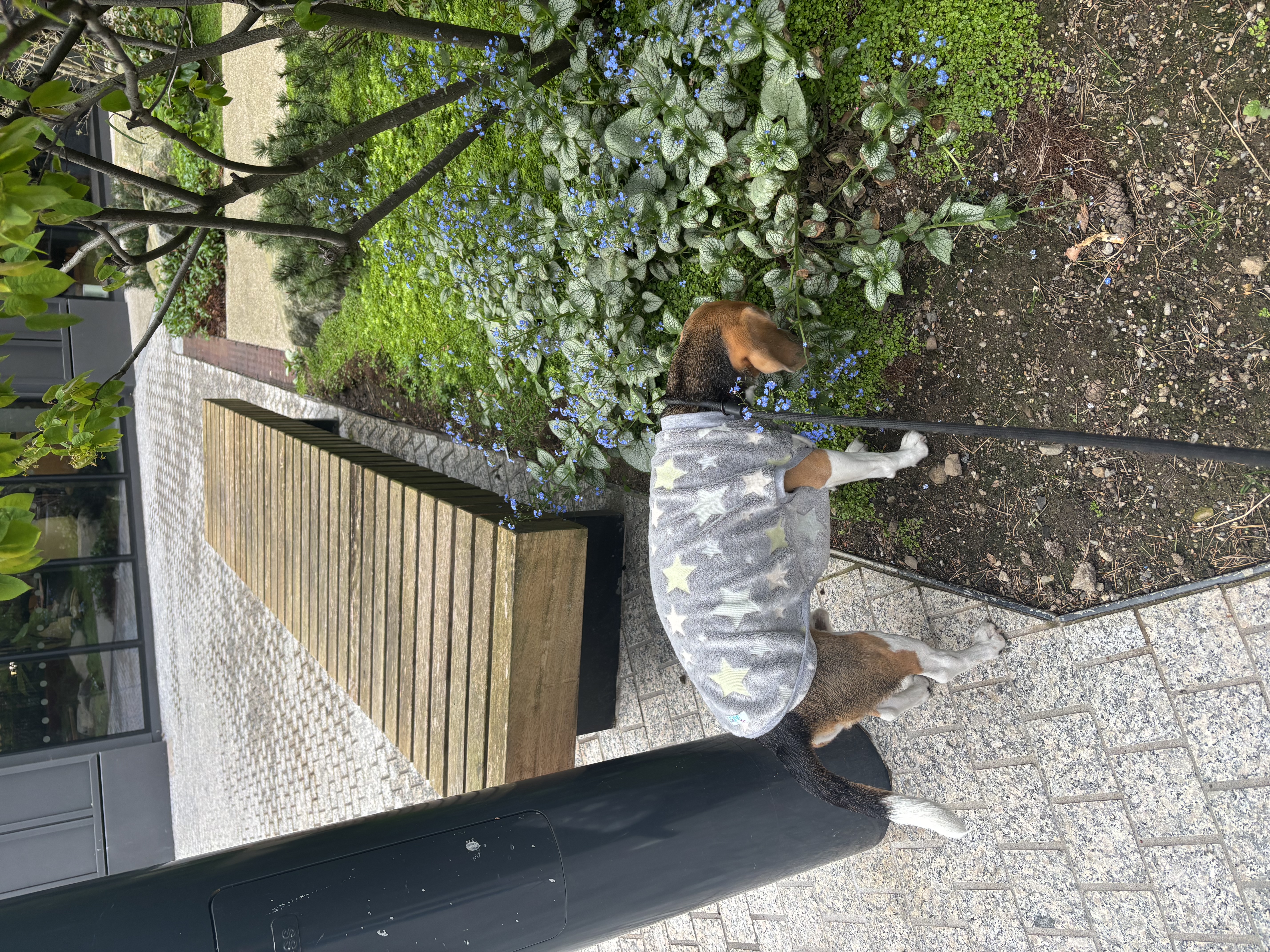 image-9