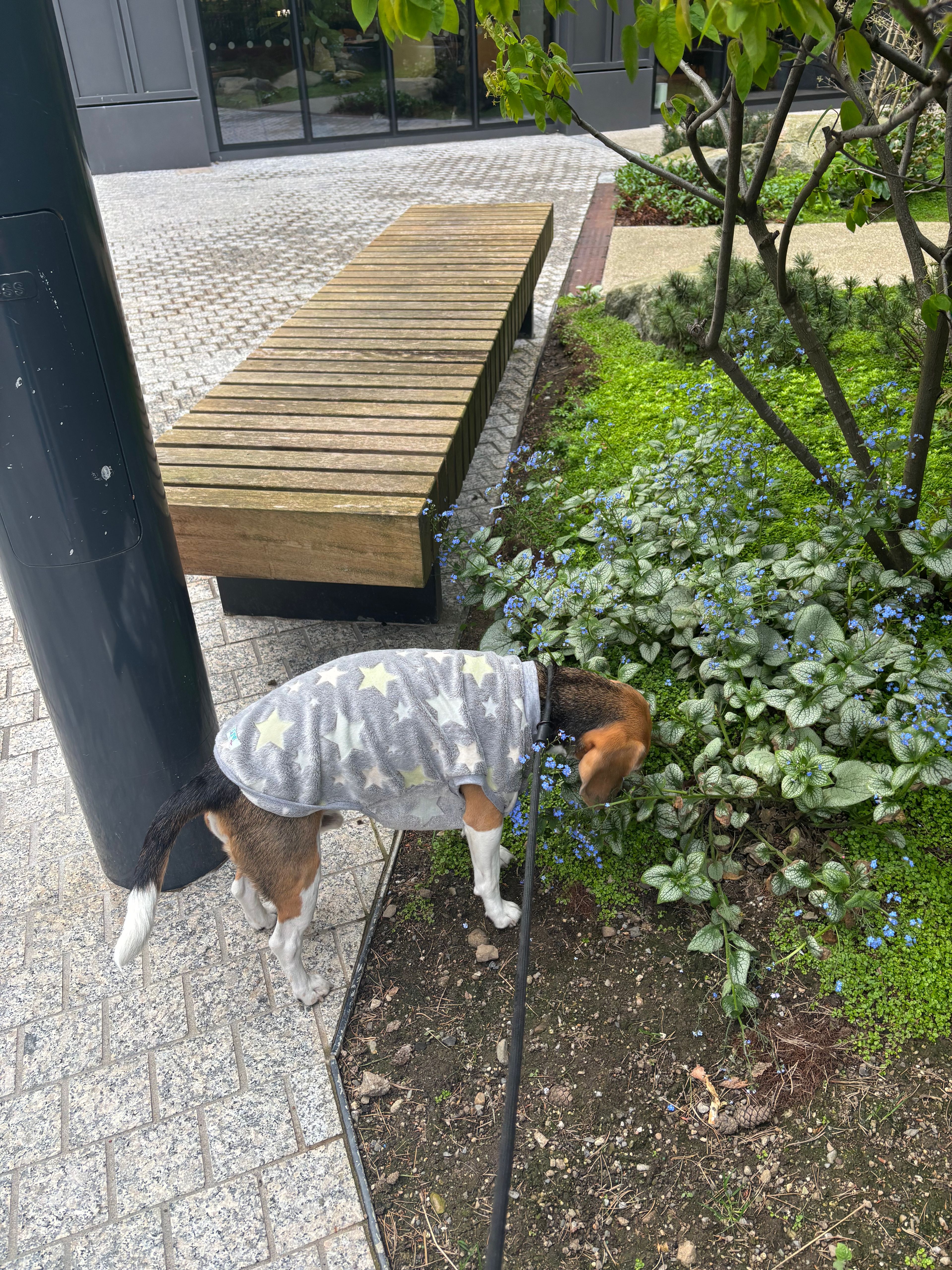 image-9