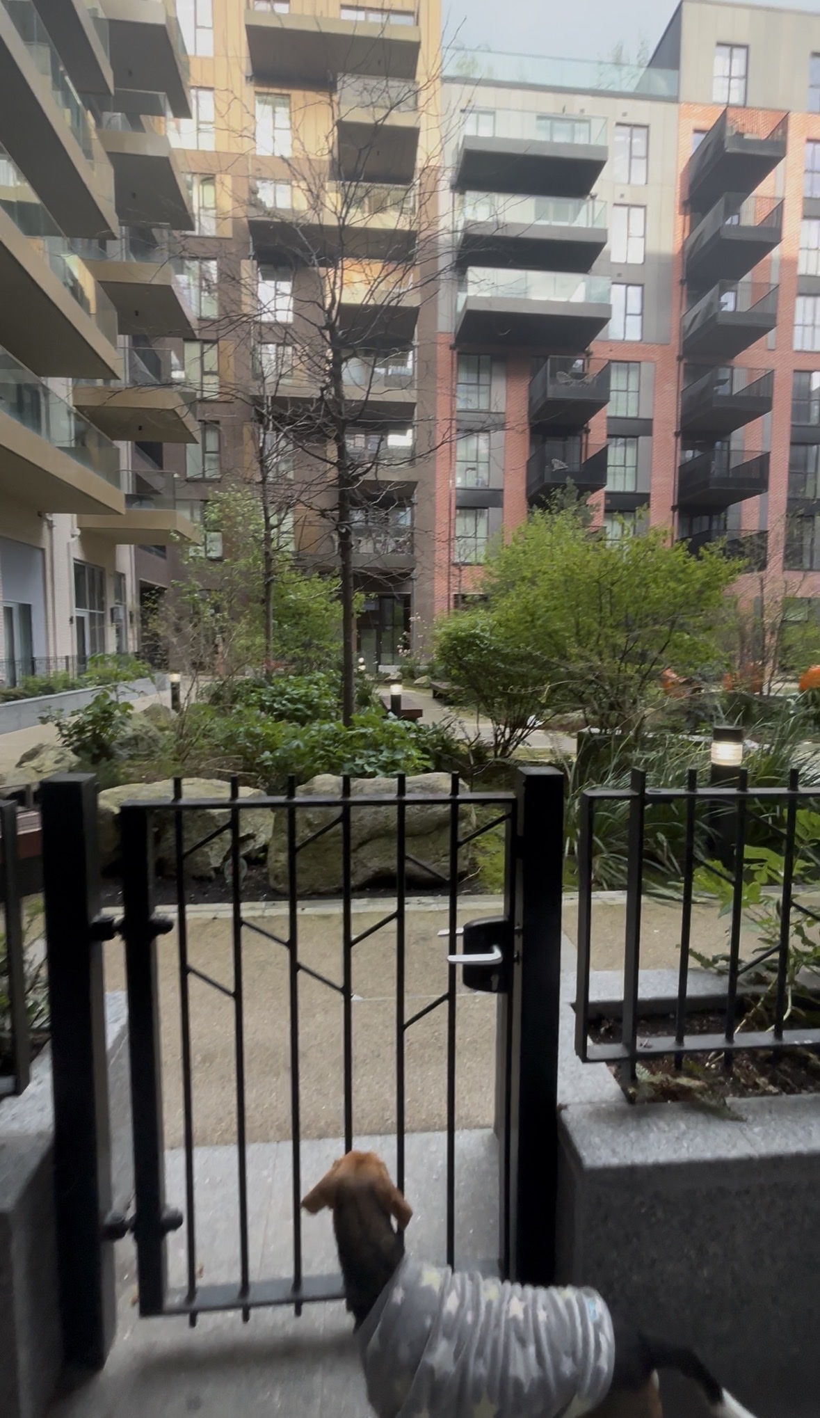image-12