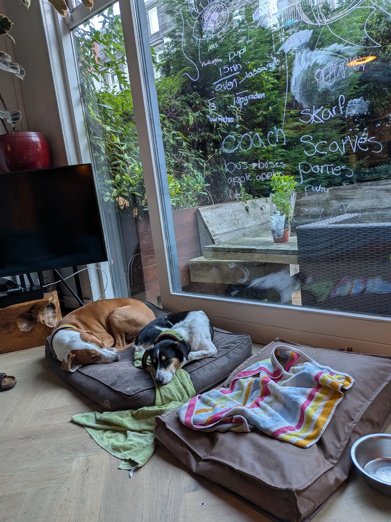 image-13