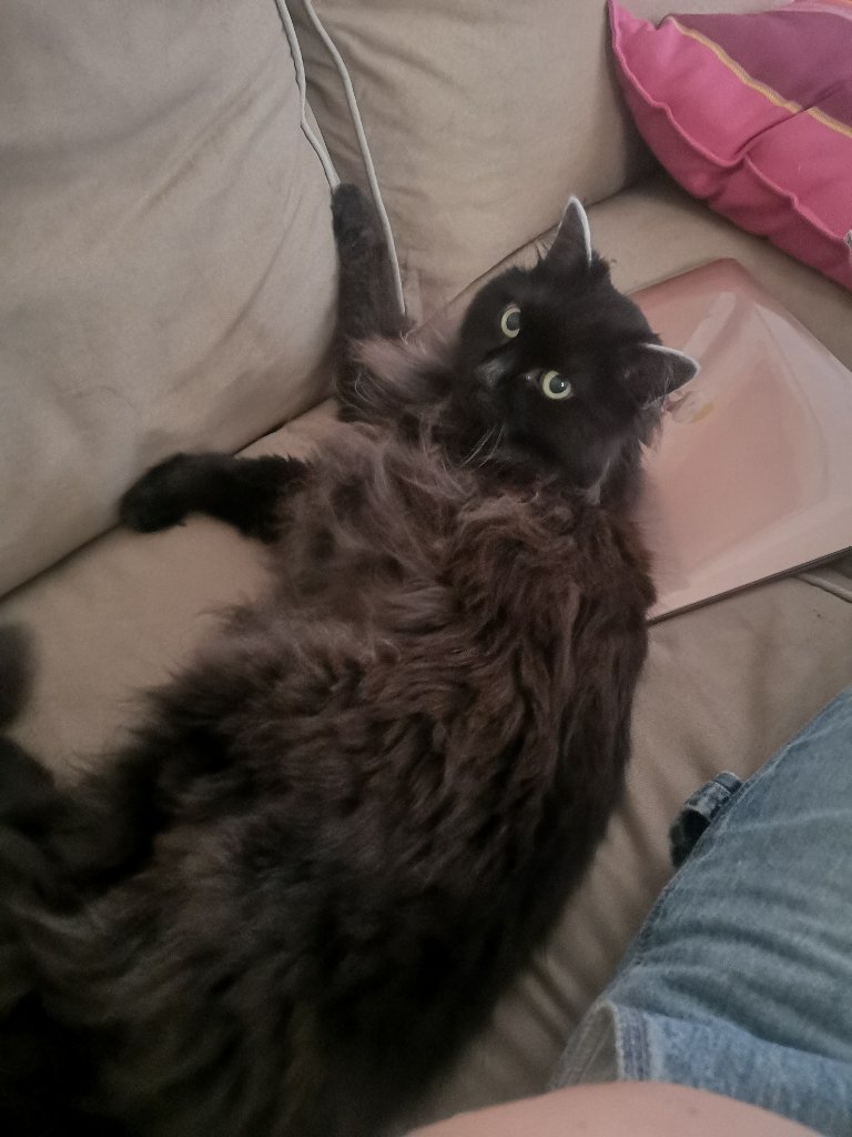 Calypso