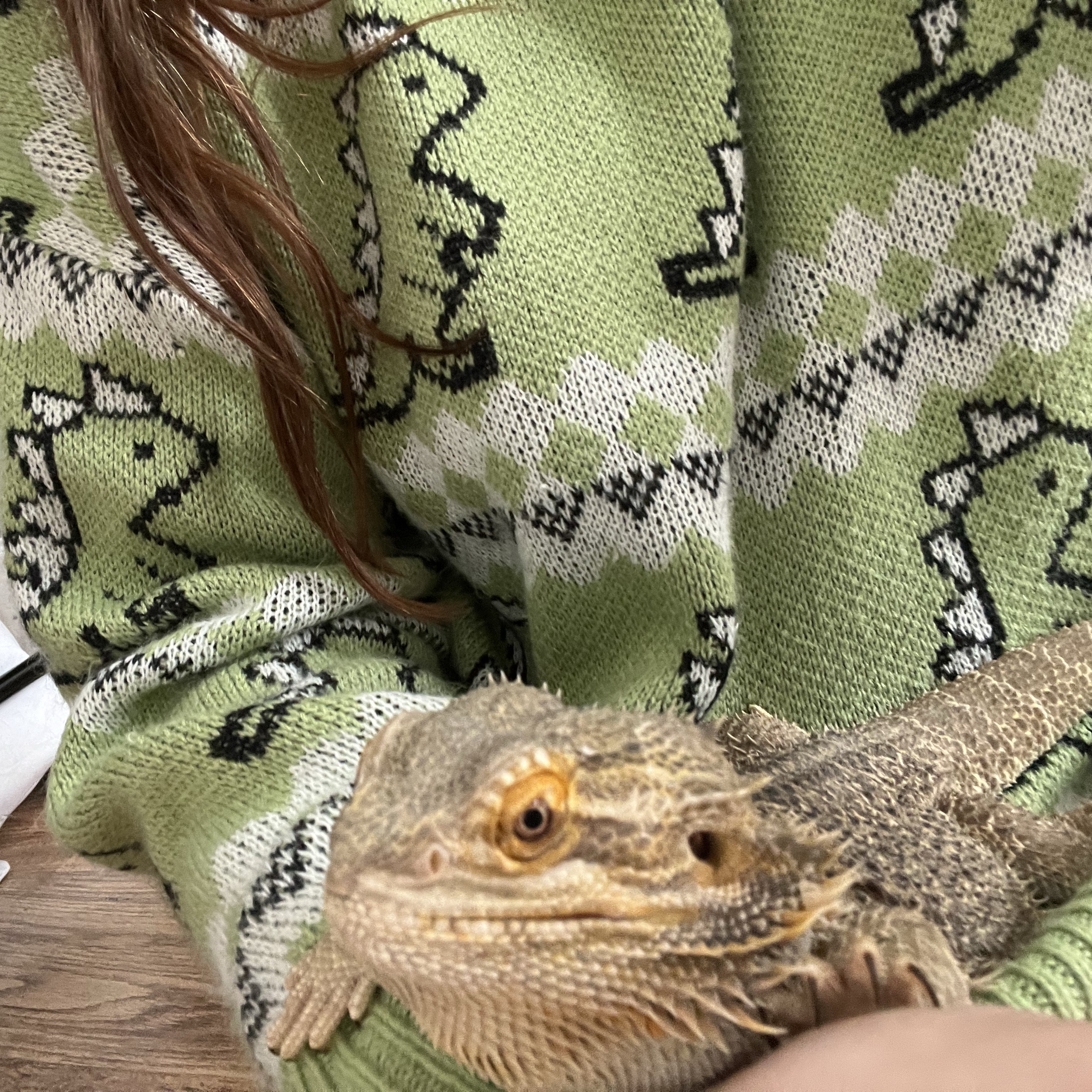 Yoshi