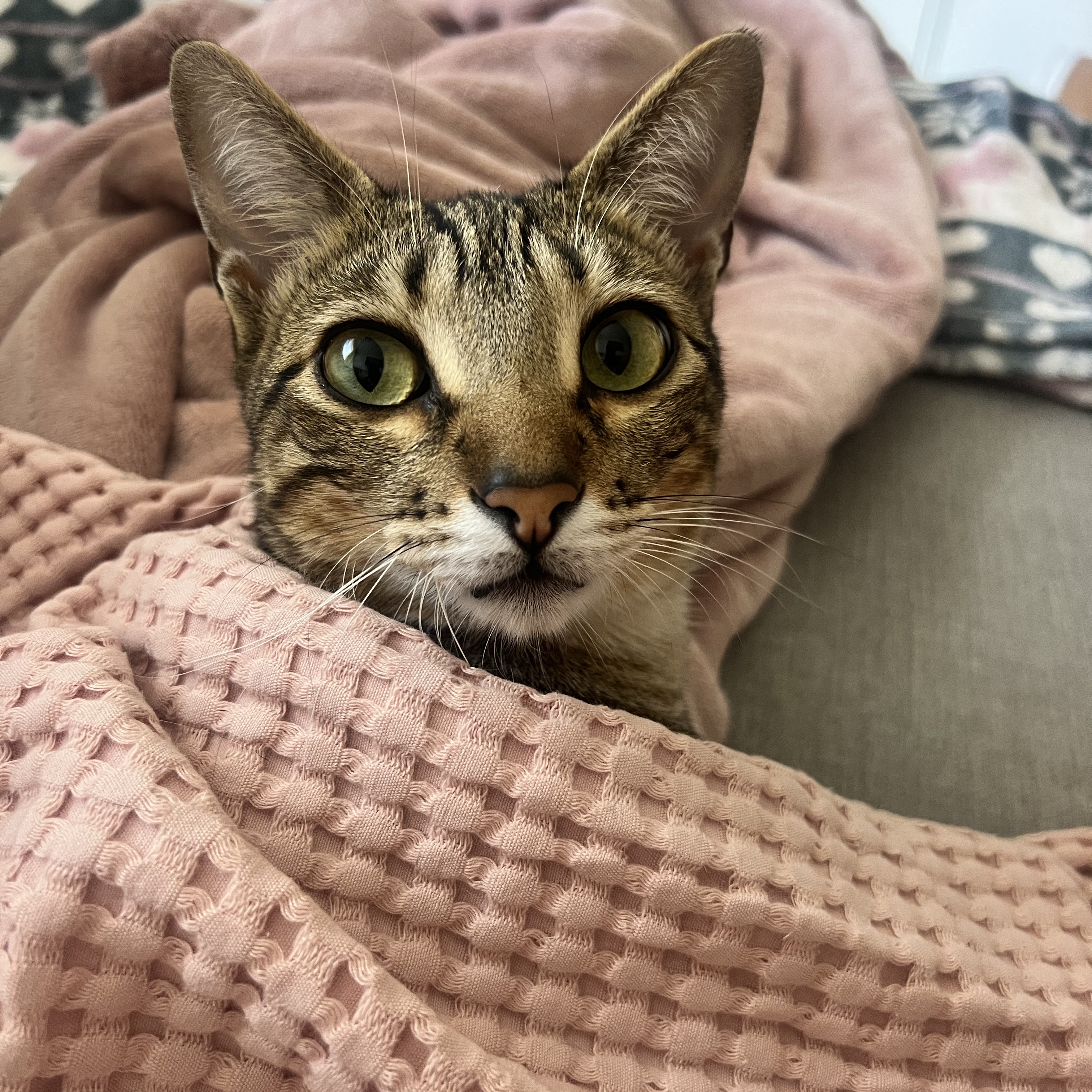 Coco
