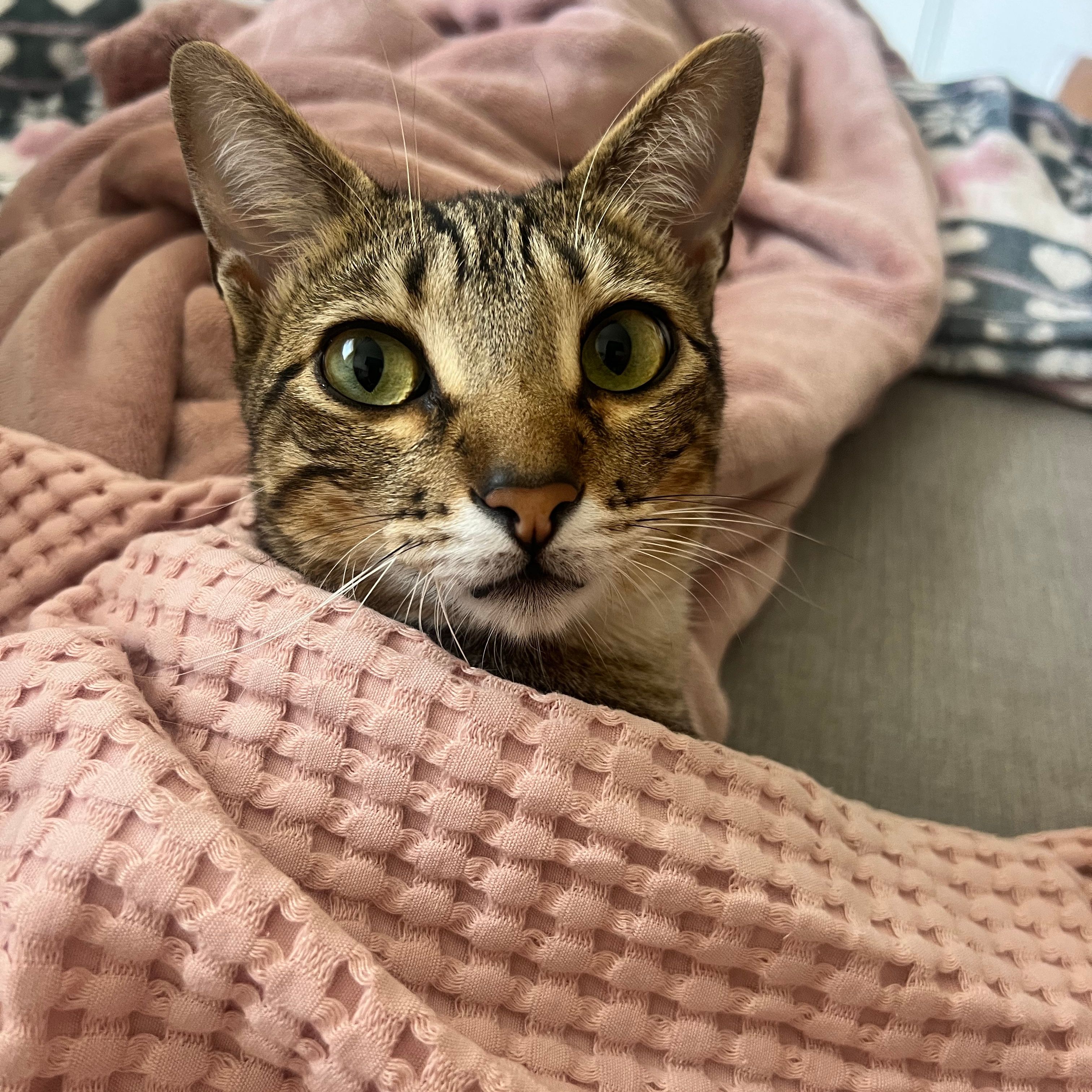 Coco