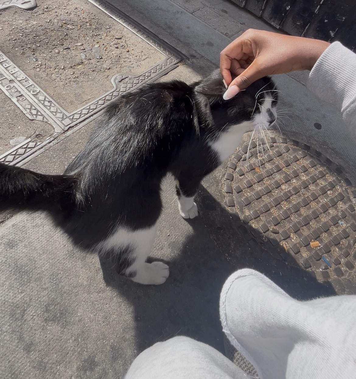 image-6