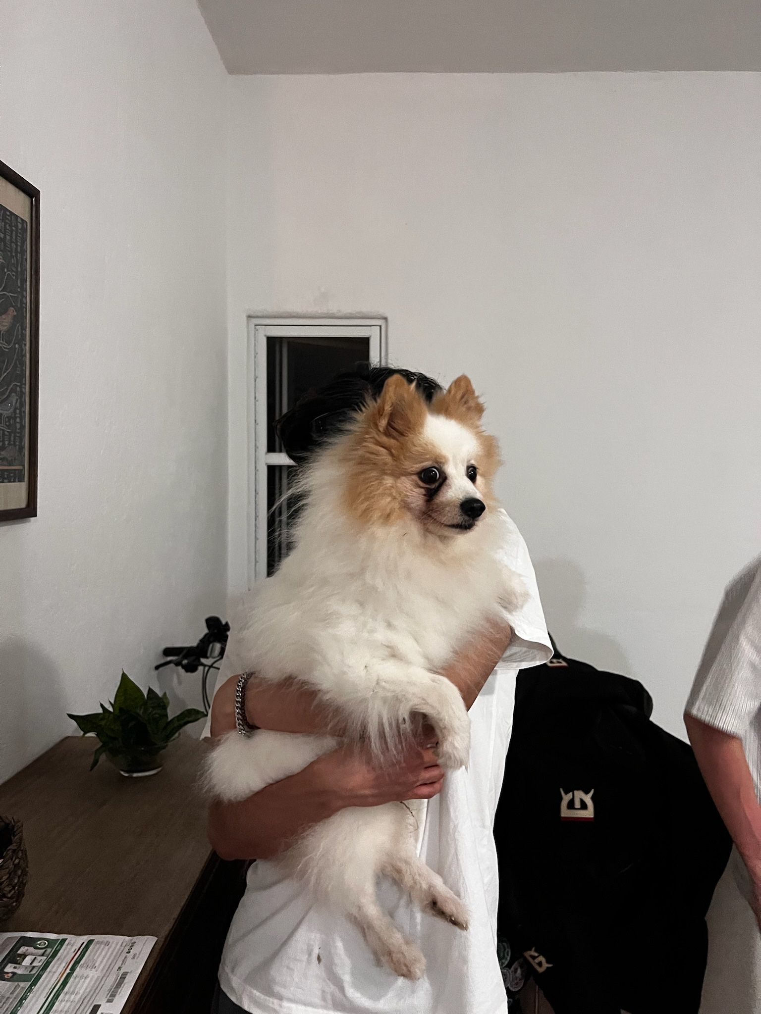 image-6