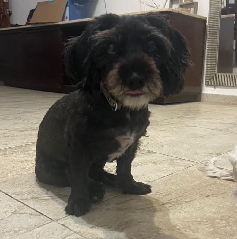 Coco