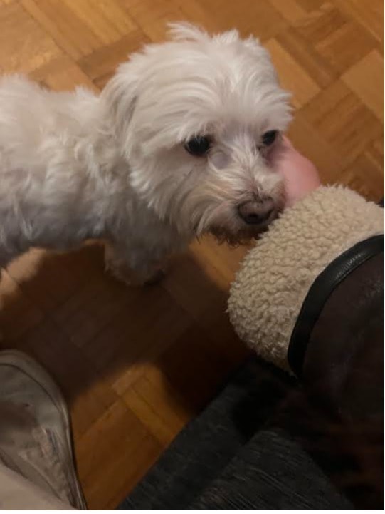image-6