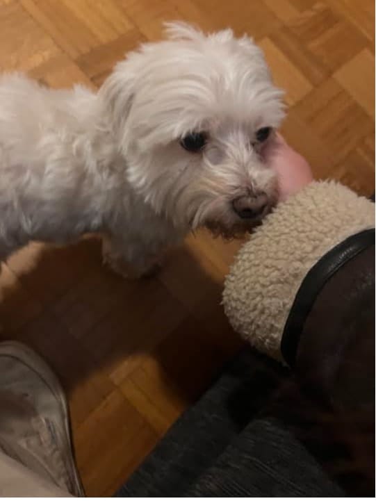 image-6