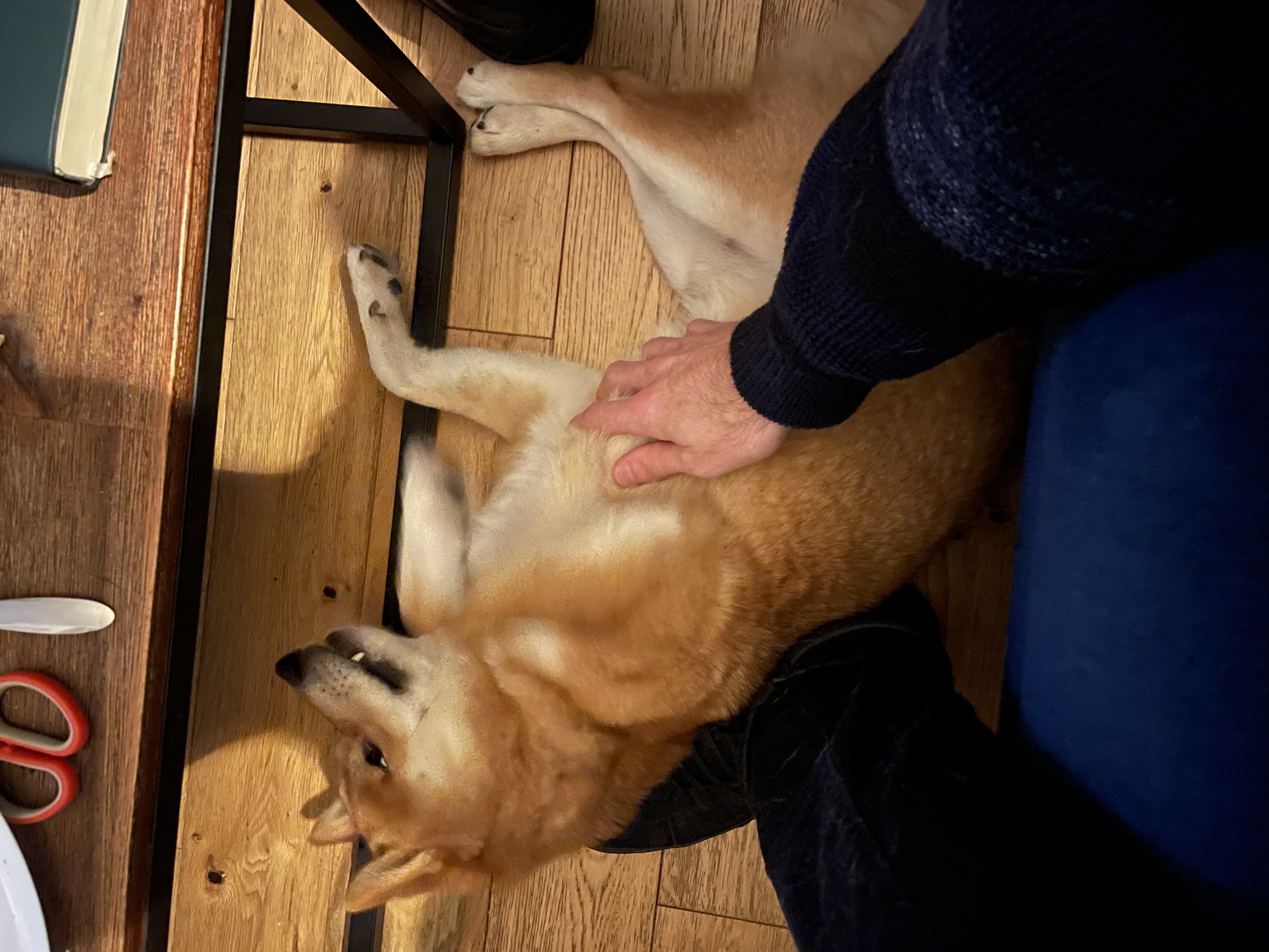 image-5