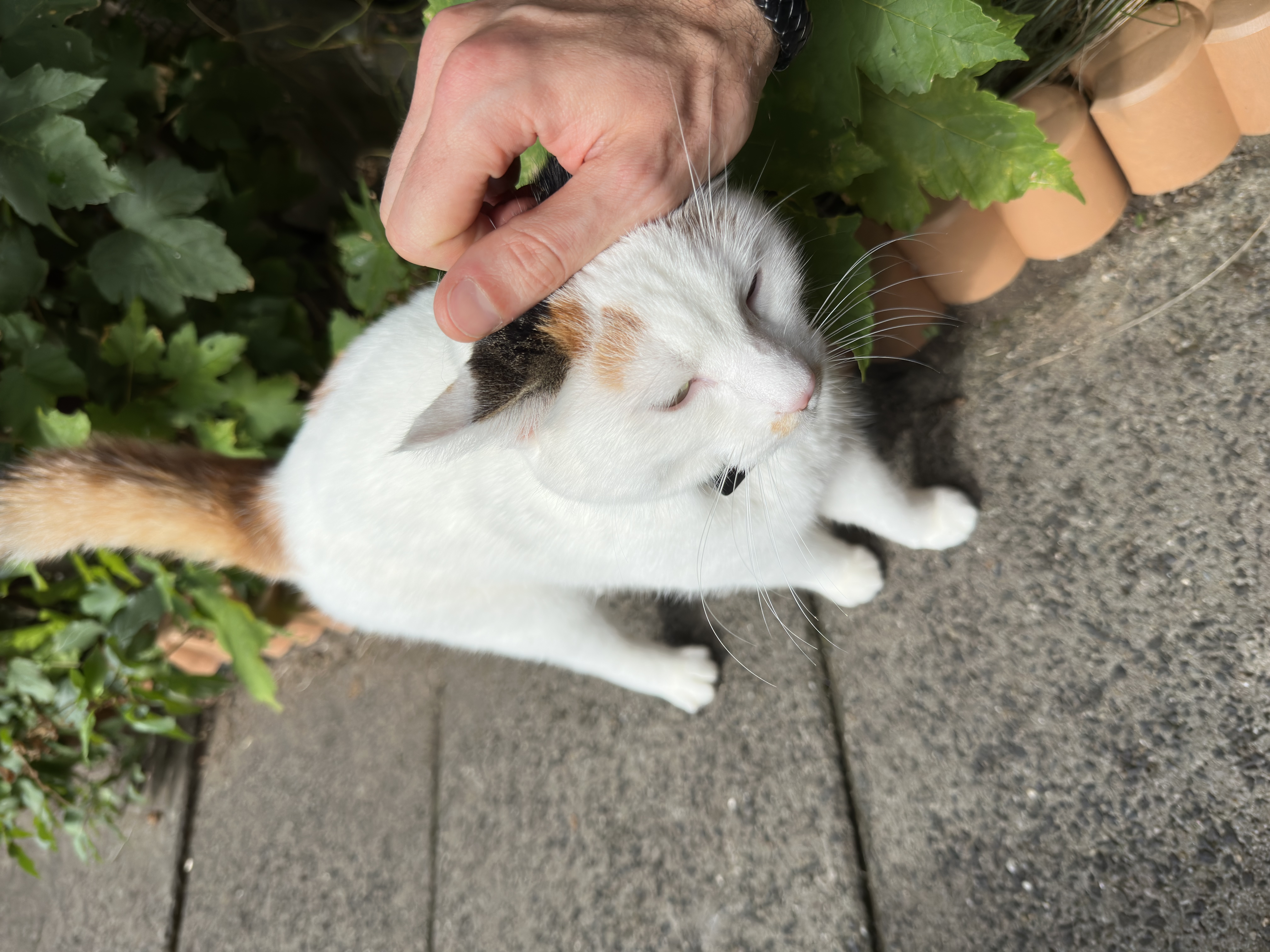image-8