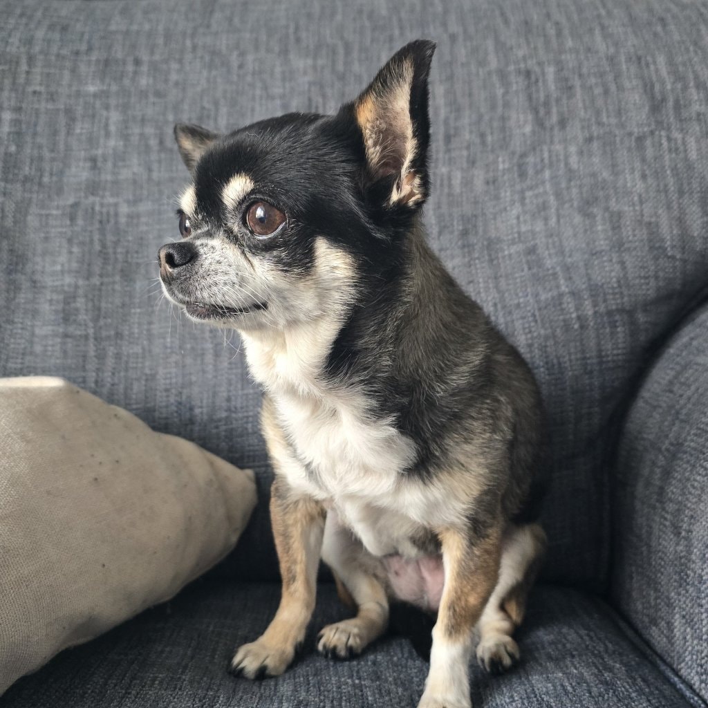 MINNIE