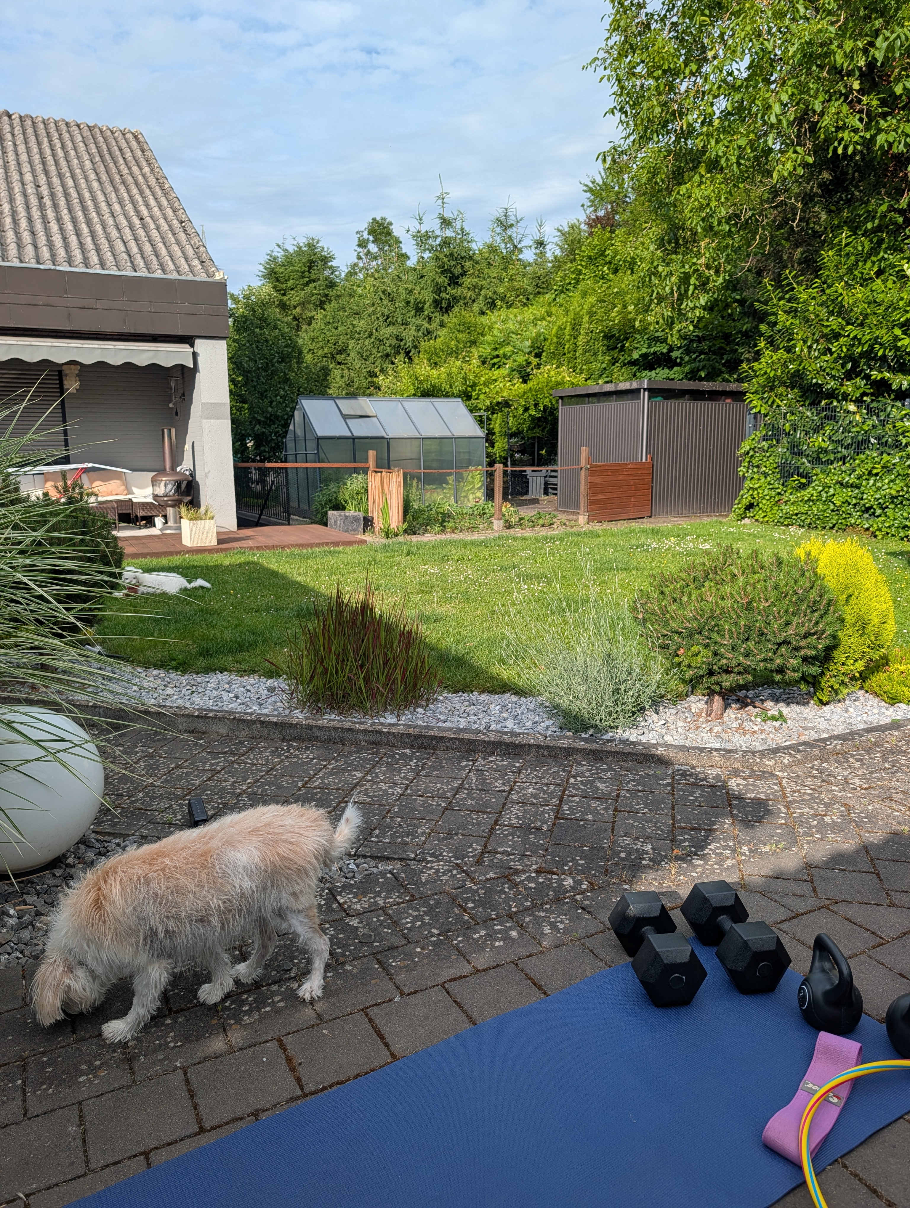 image-25