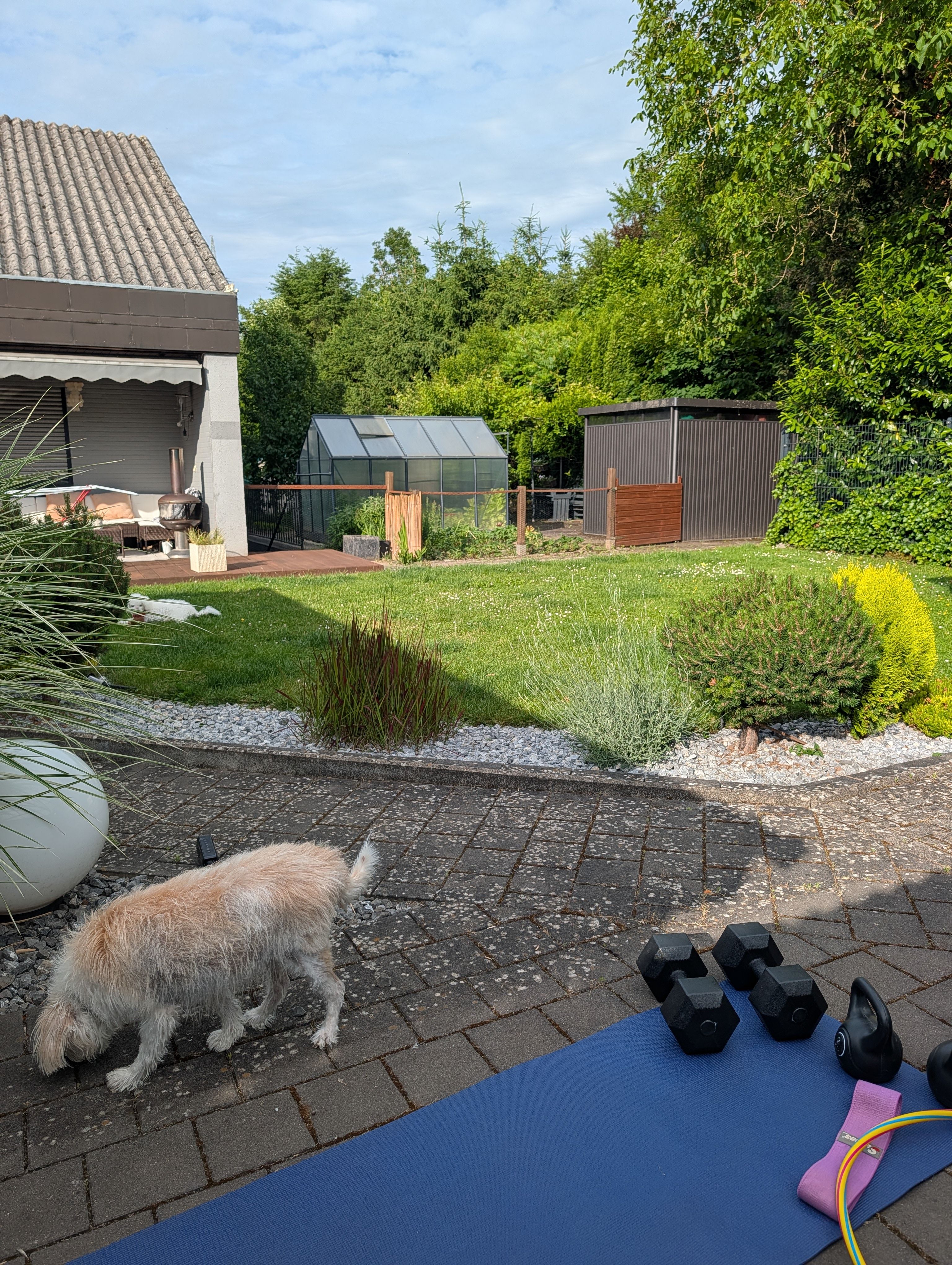 image-25