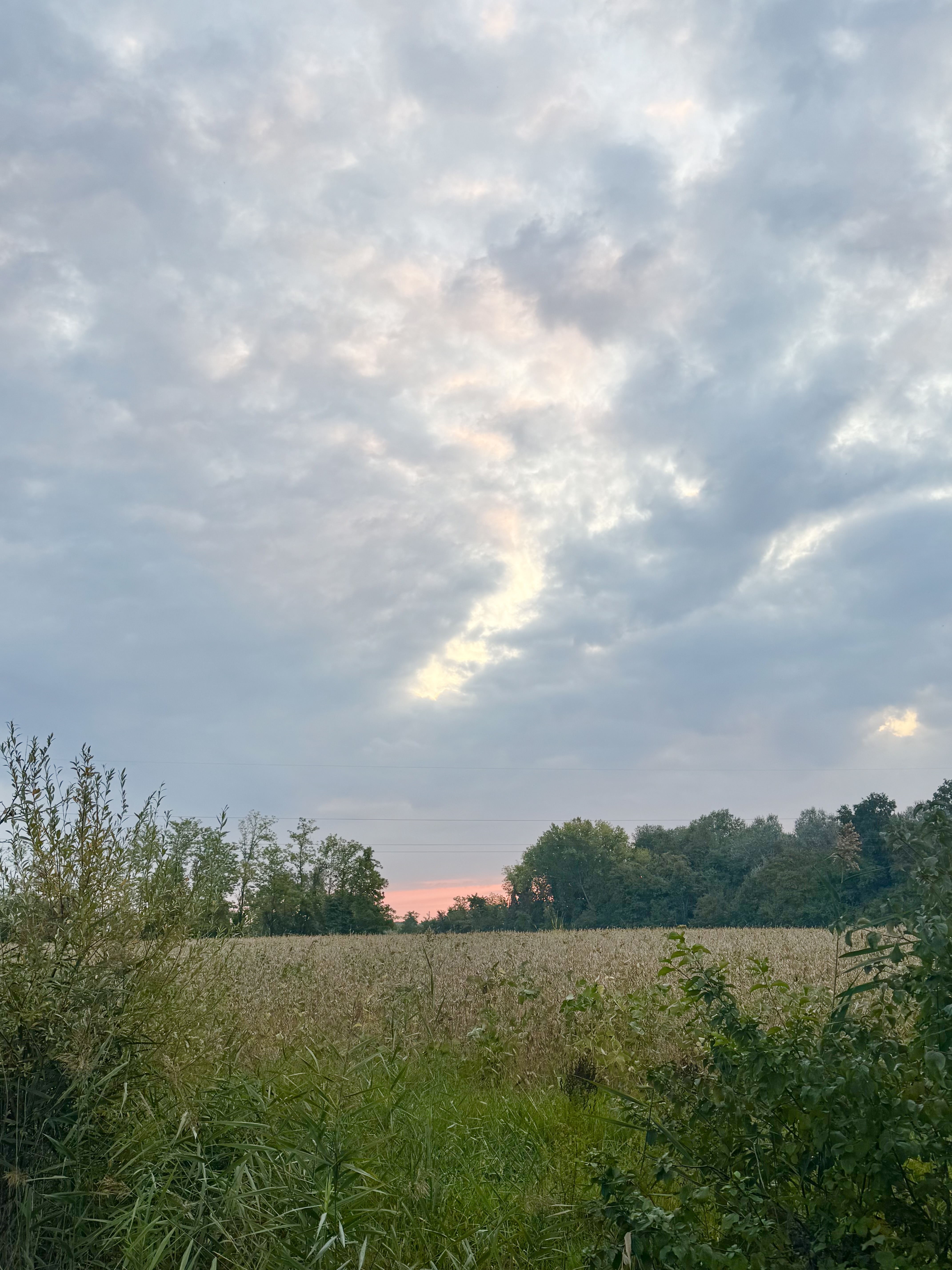 image-18