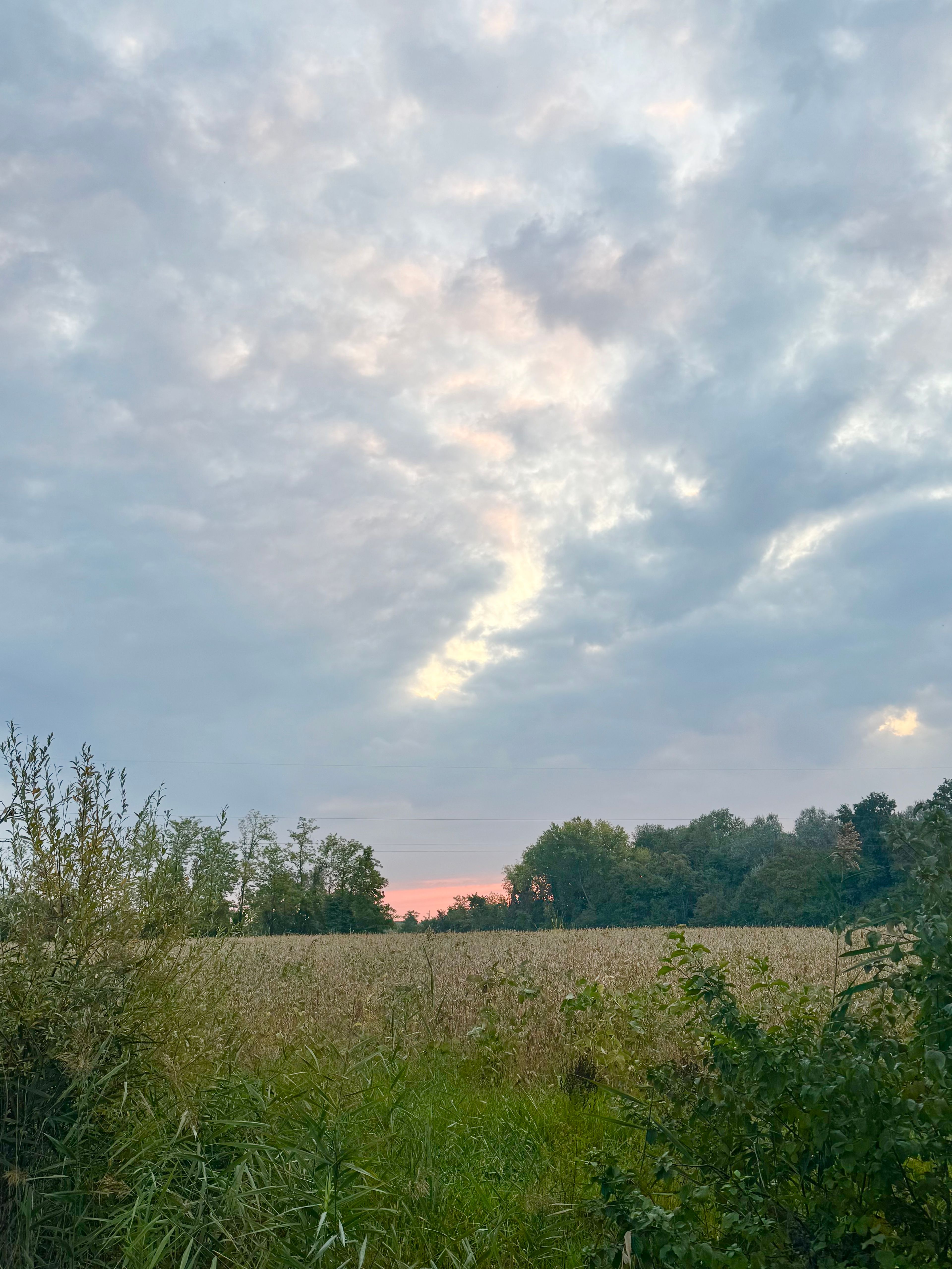 image-18
