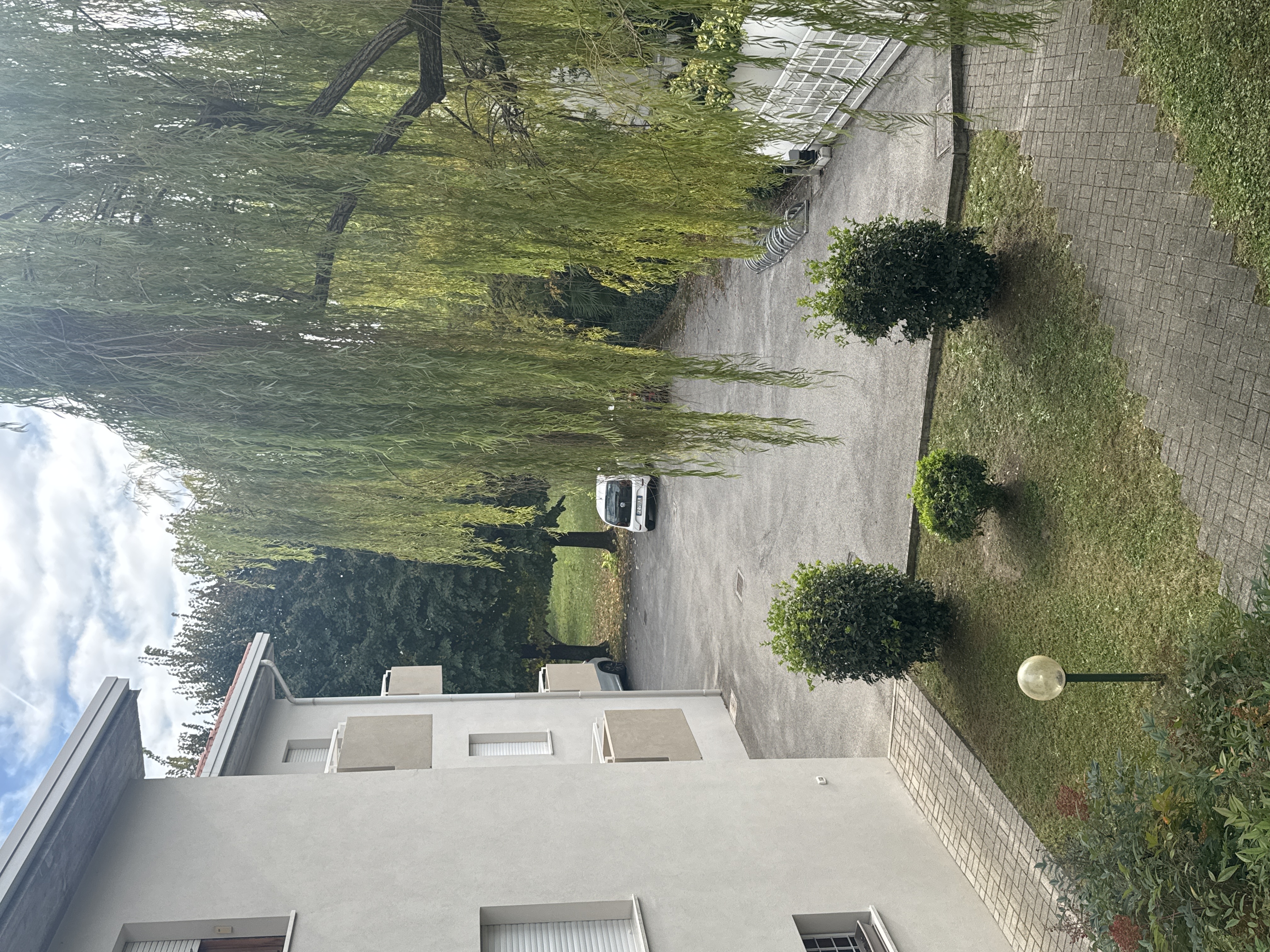 image-23