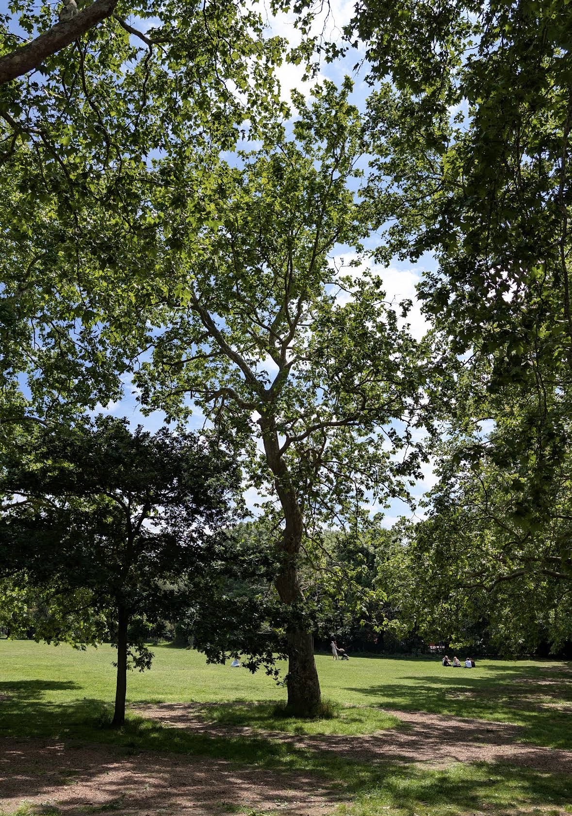 image-11