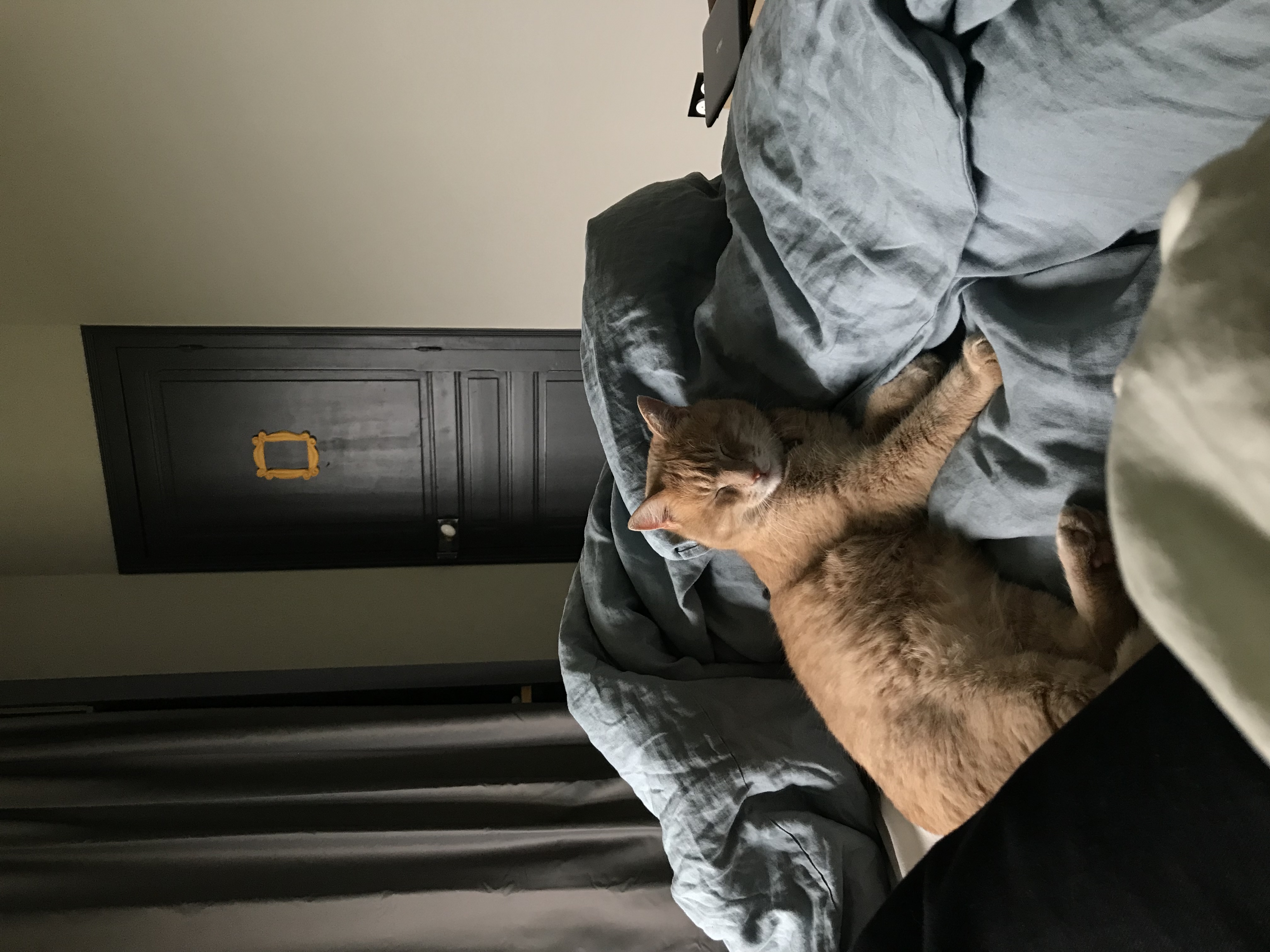 image-7