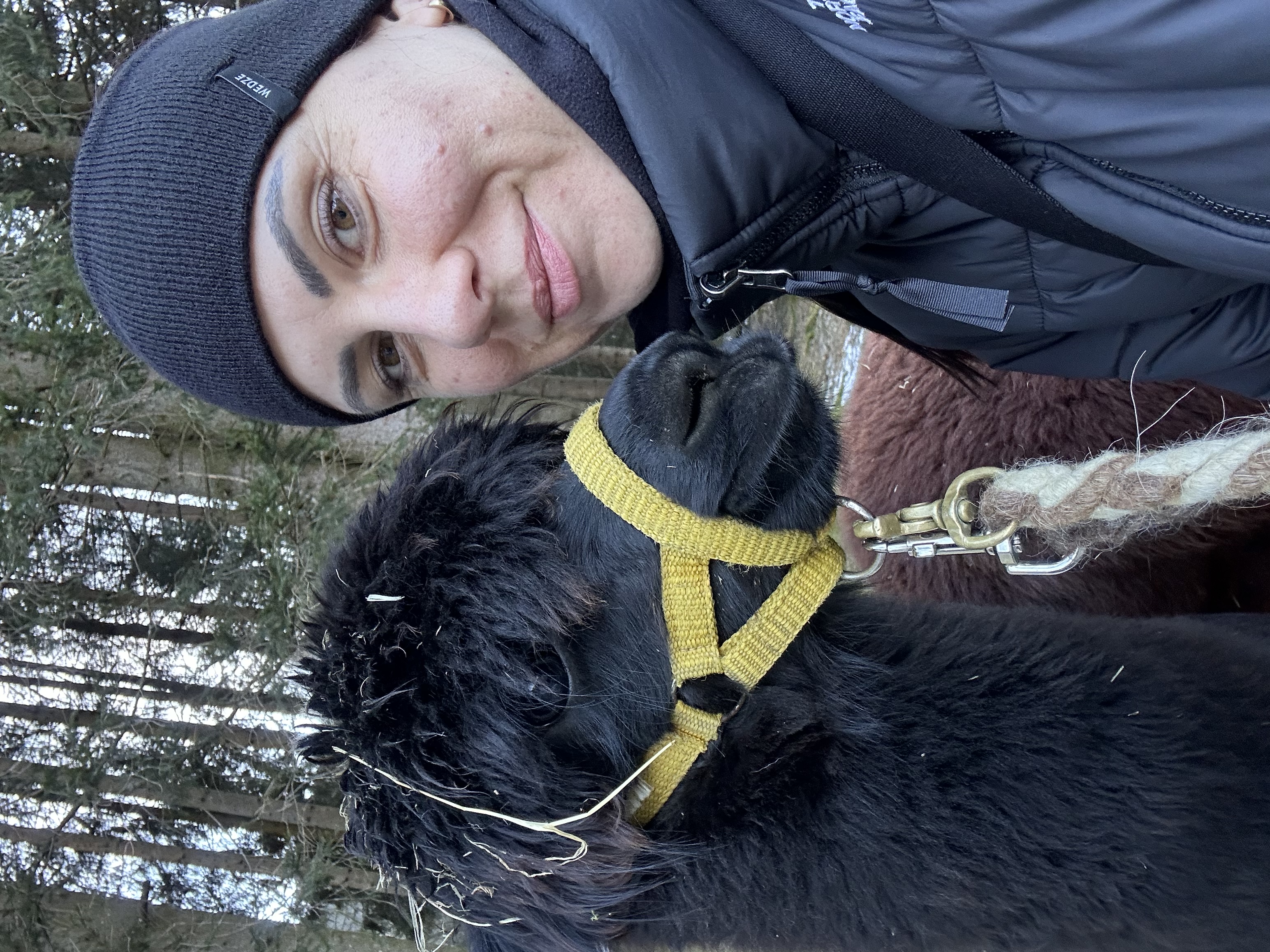 image-6