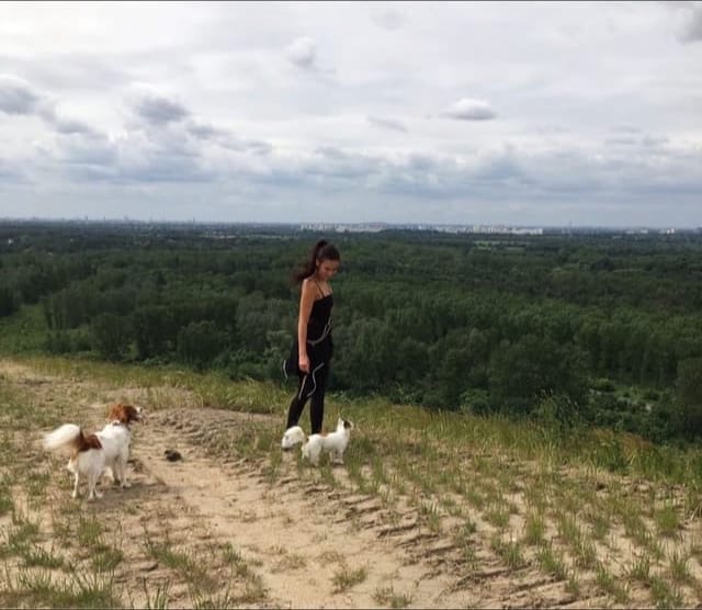 image-12