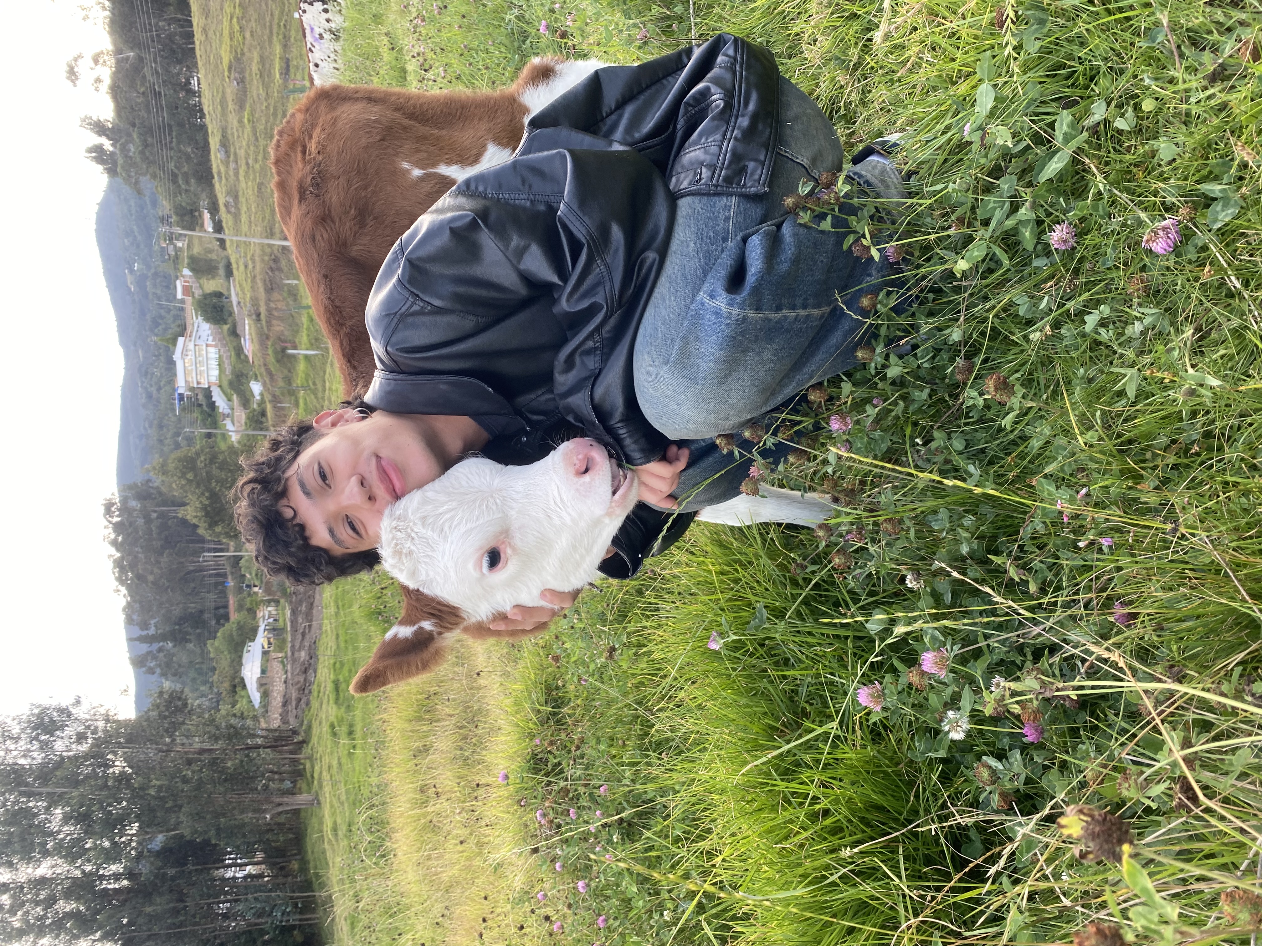 image-2
