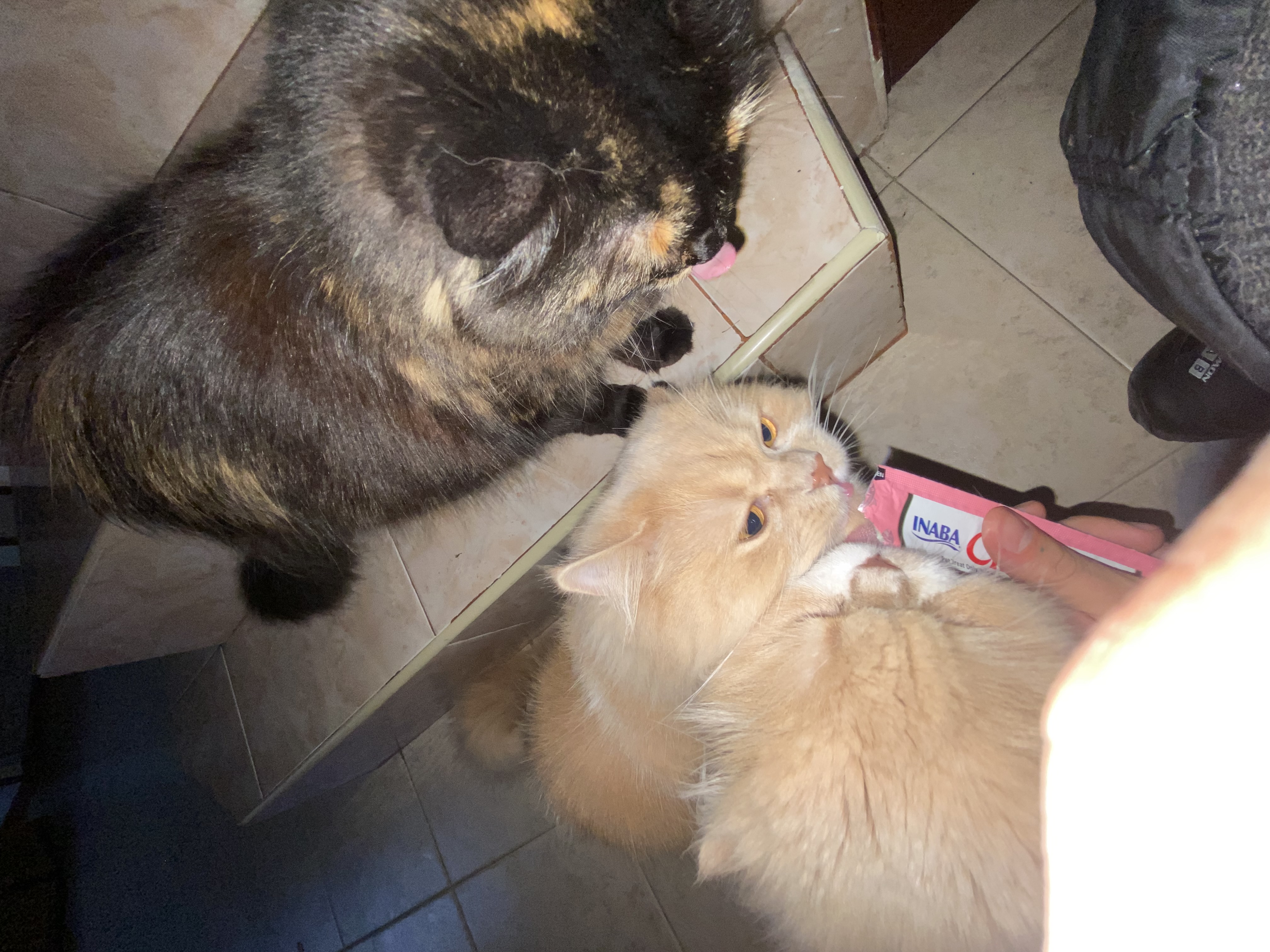 image-8