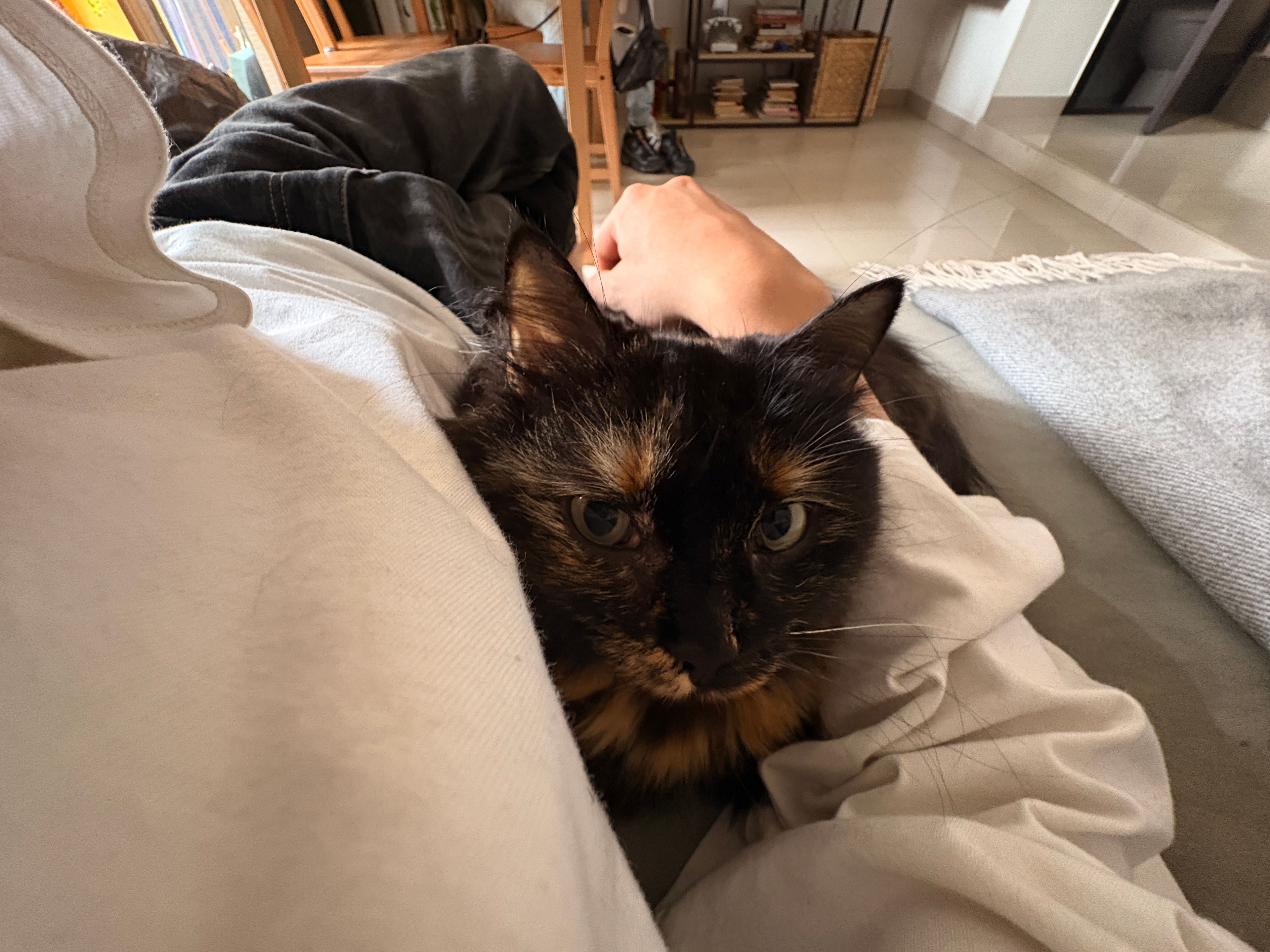 image-7