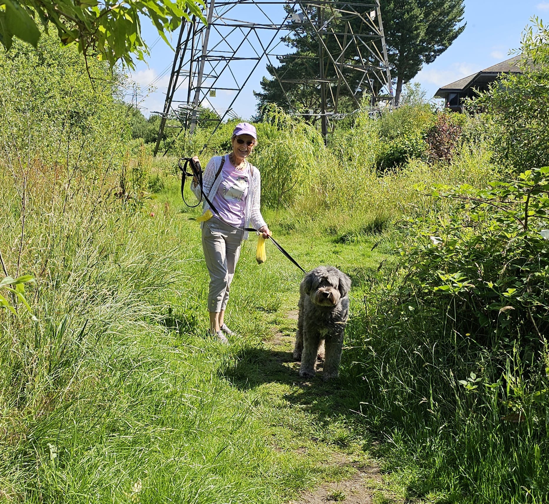 image-5