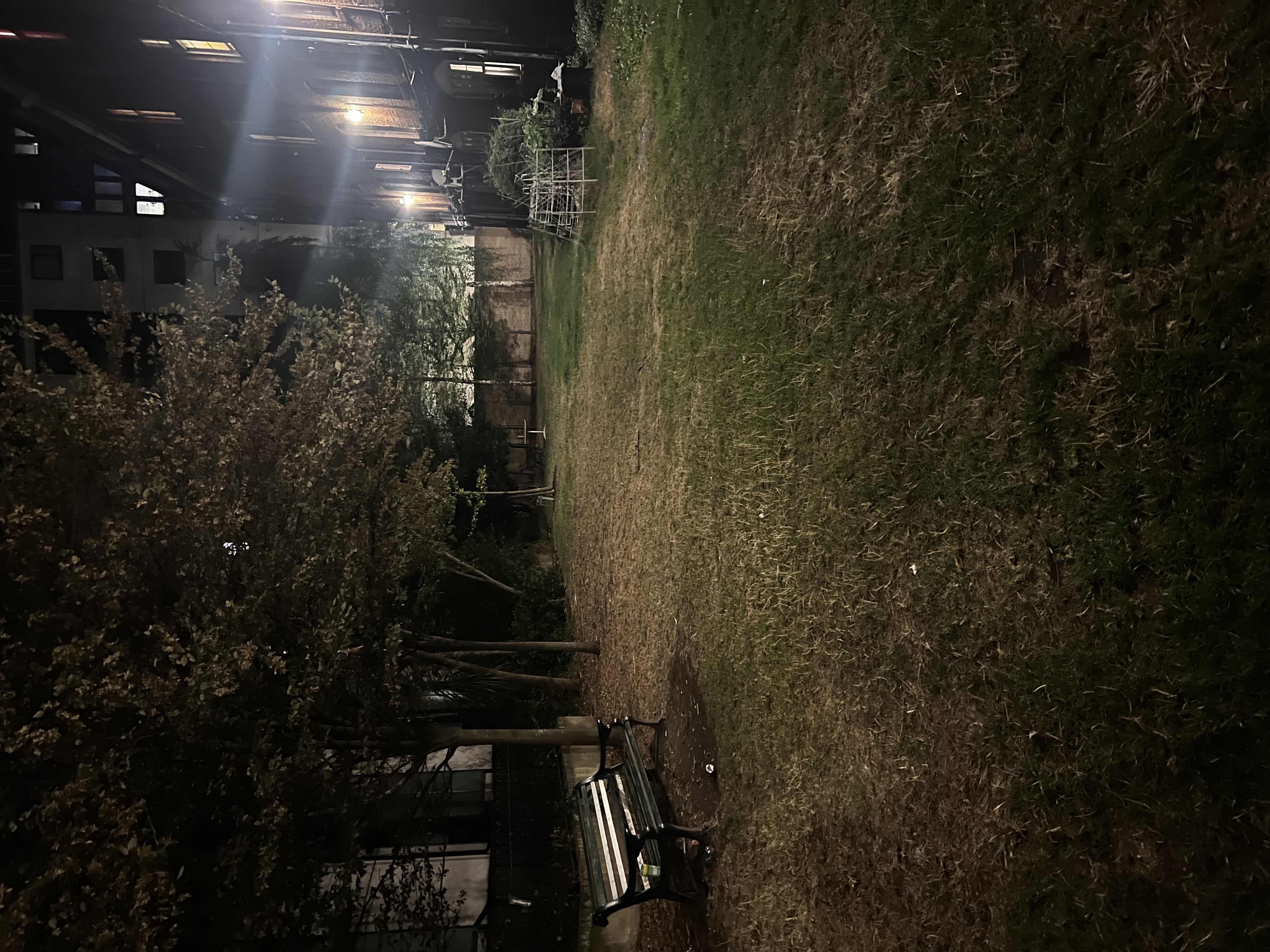 image-7