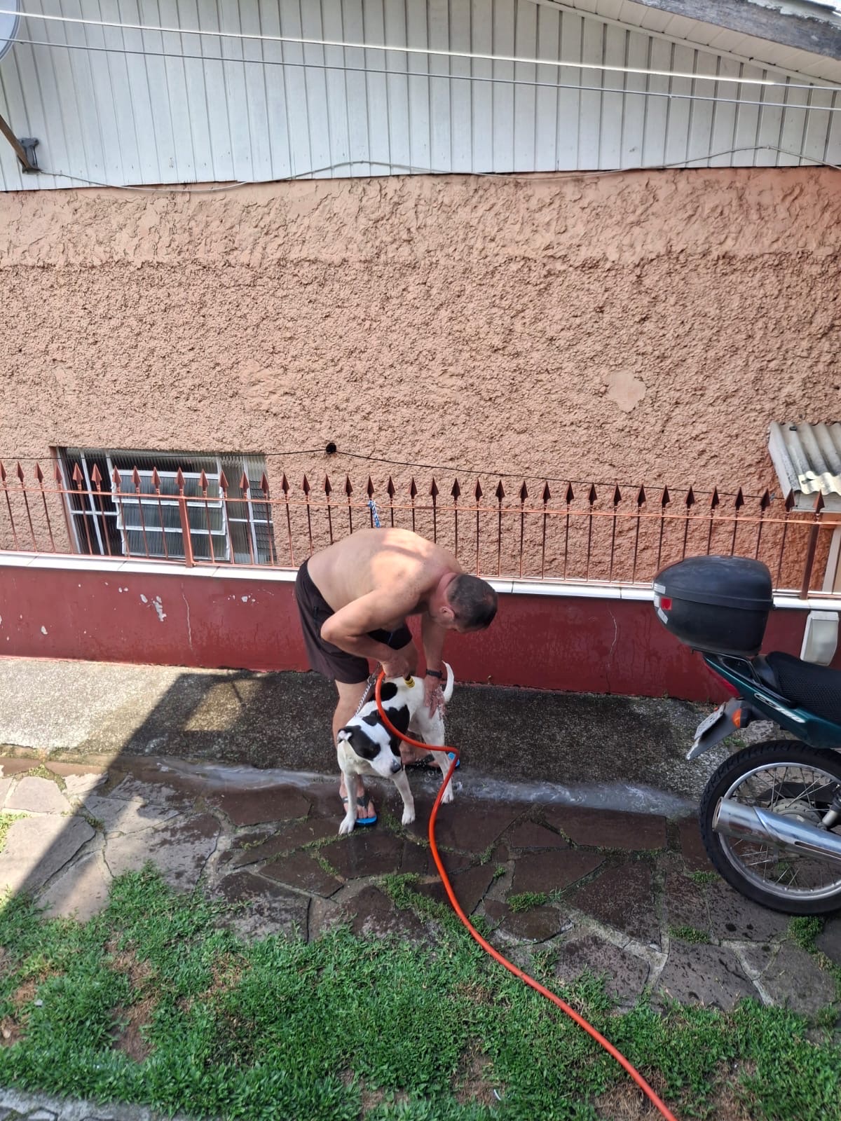 image-9