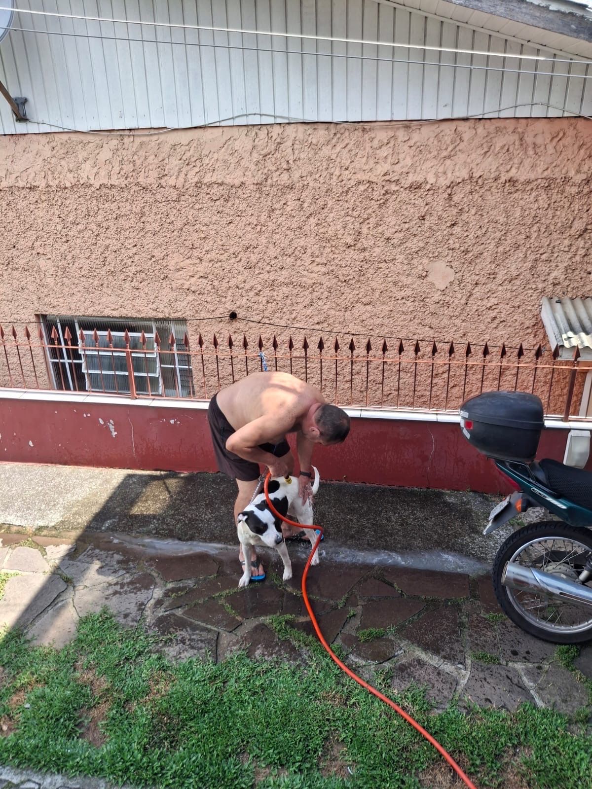 image-9