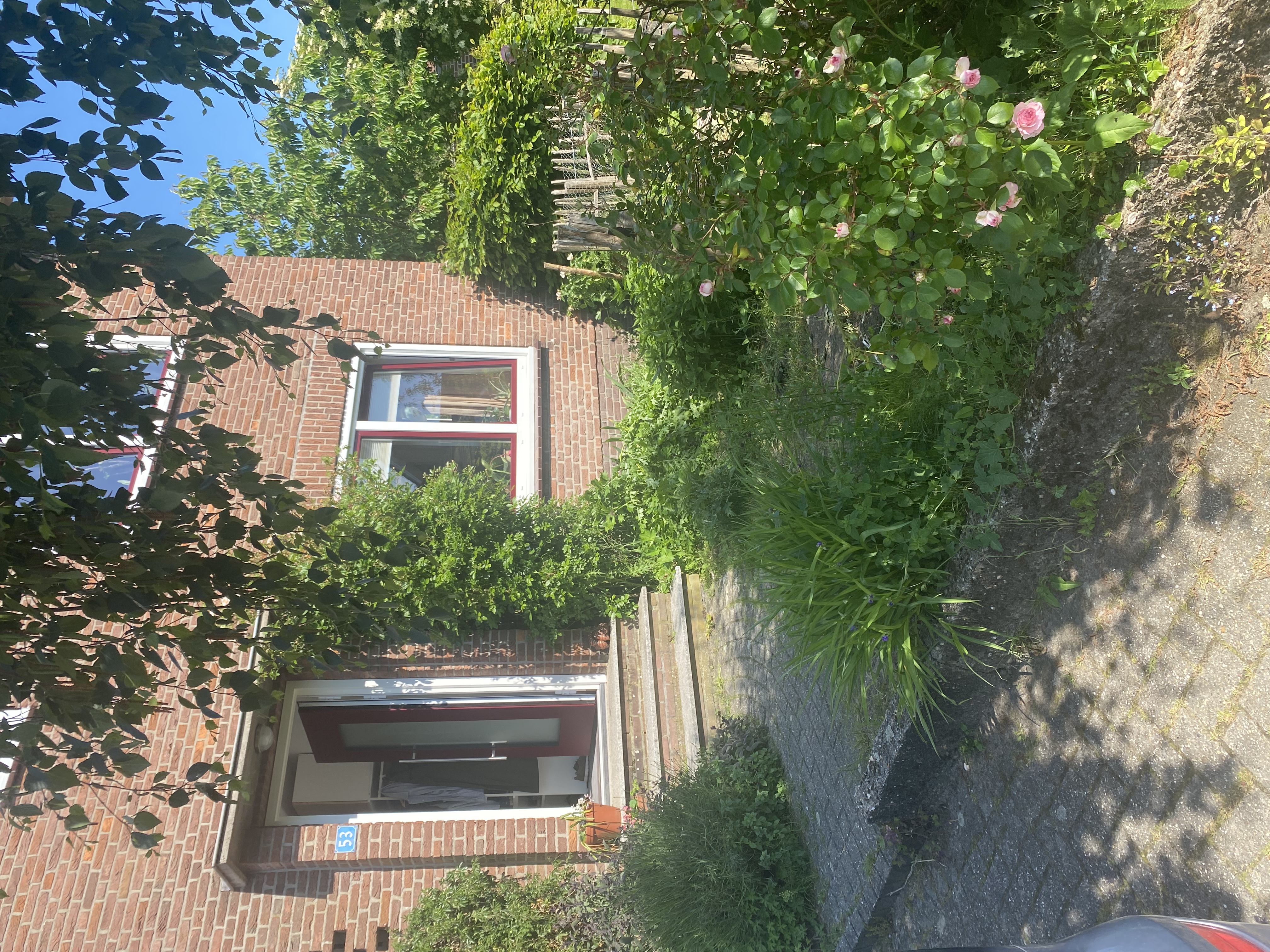 image-14