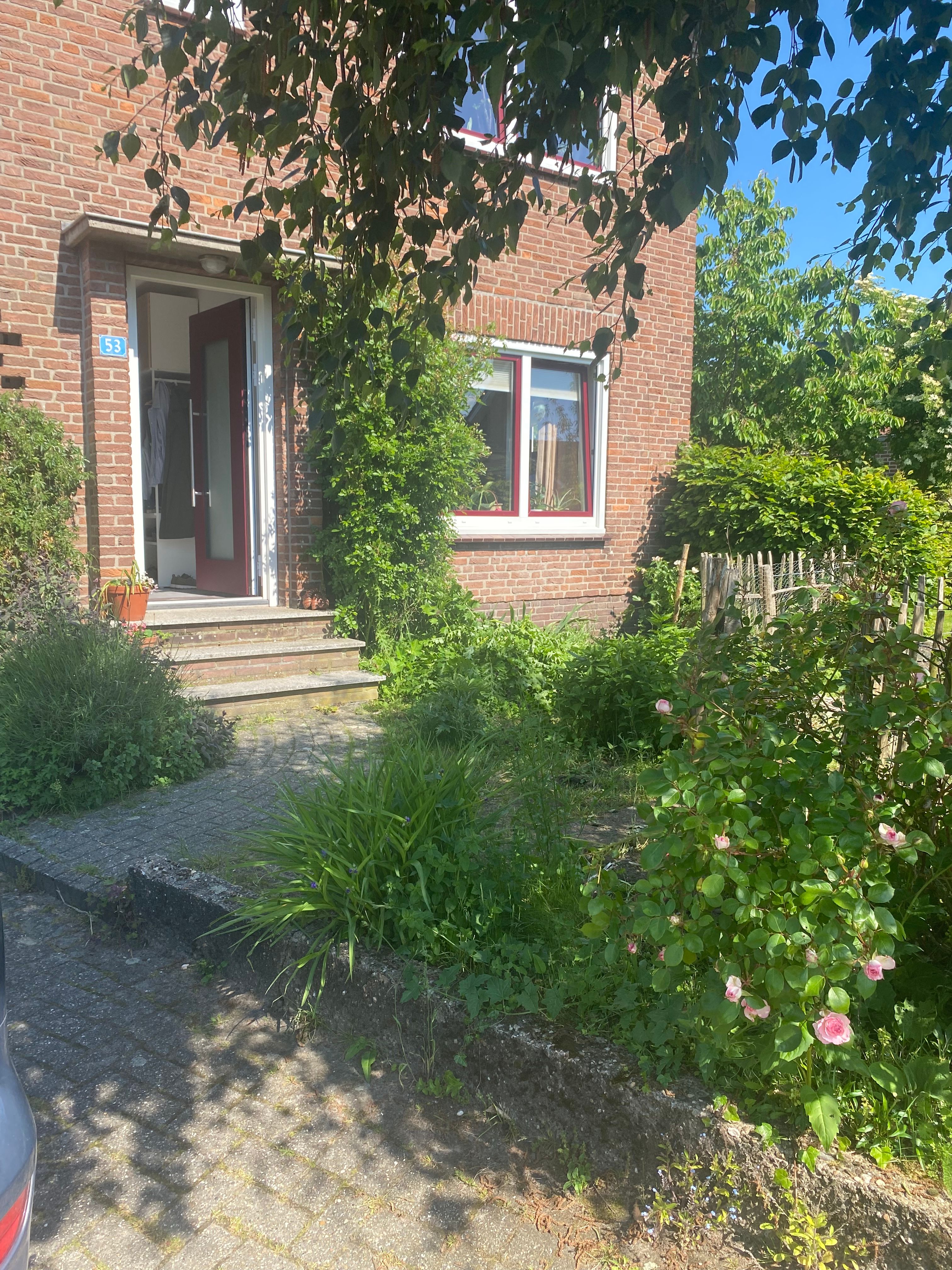 image-14