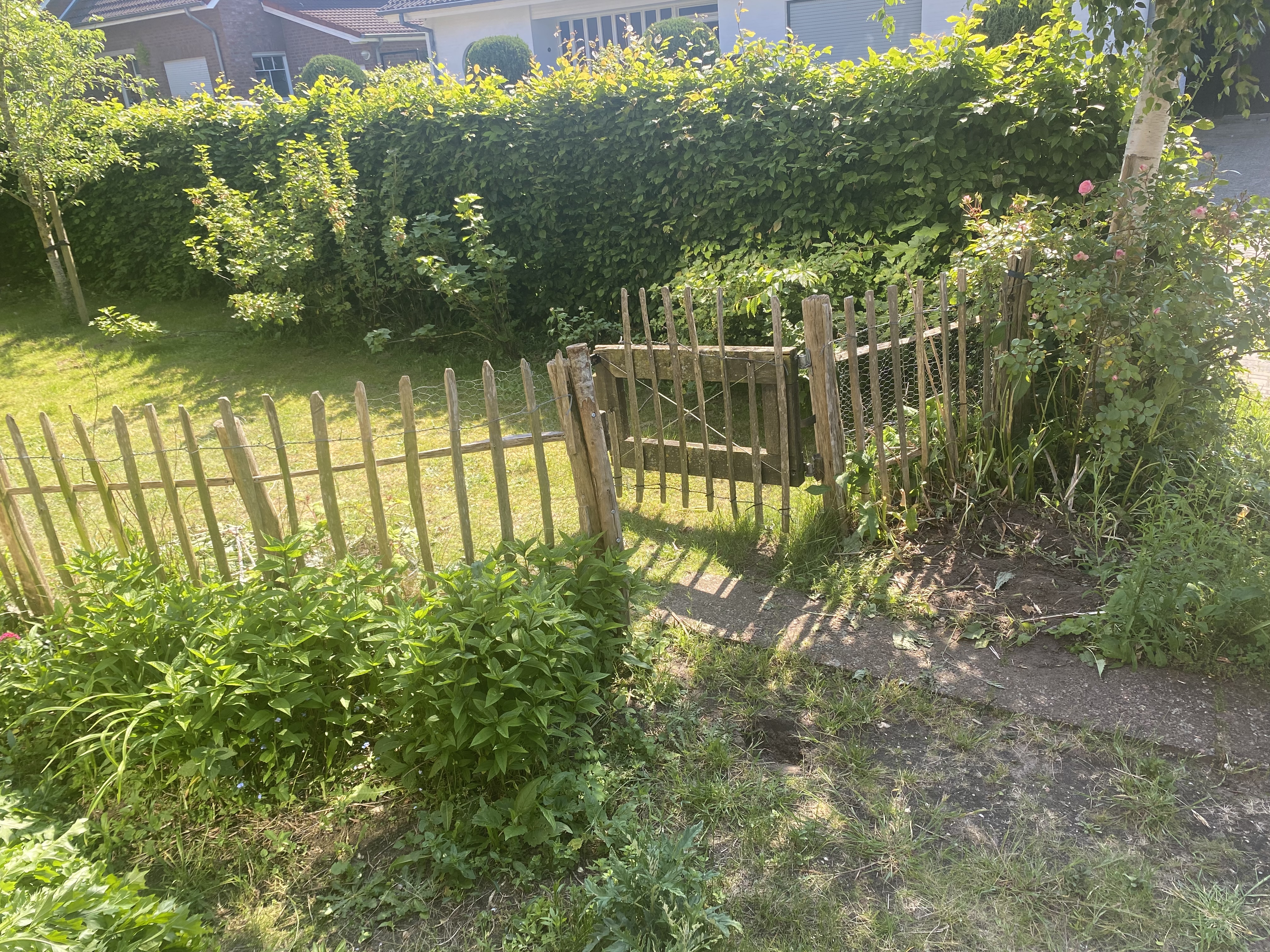 image-15