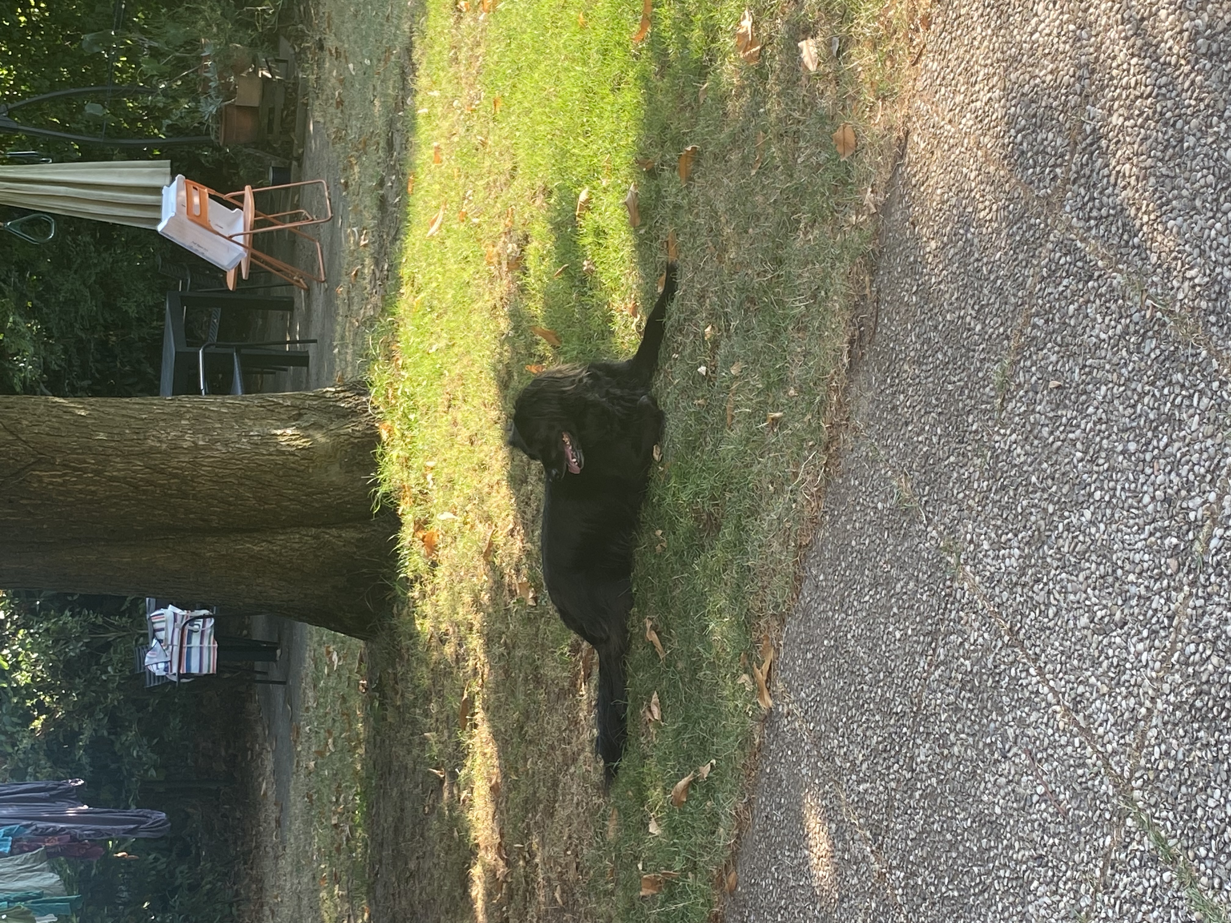 image-18