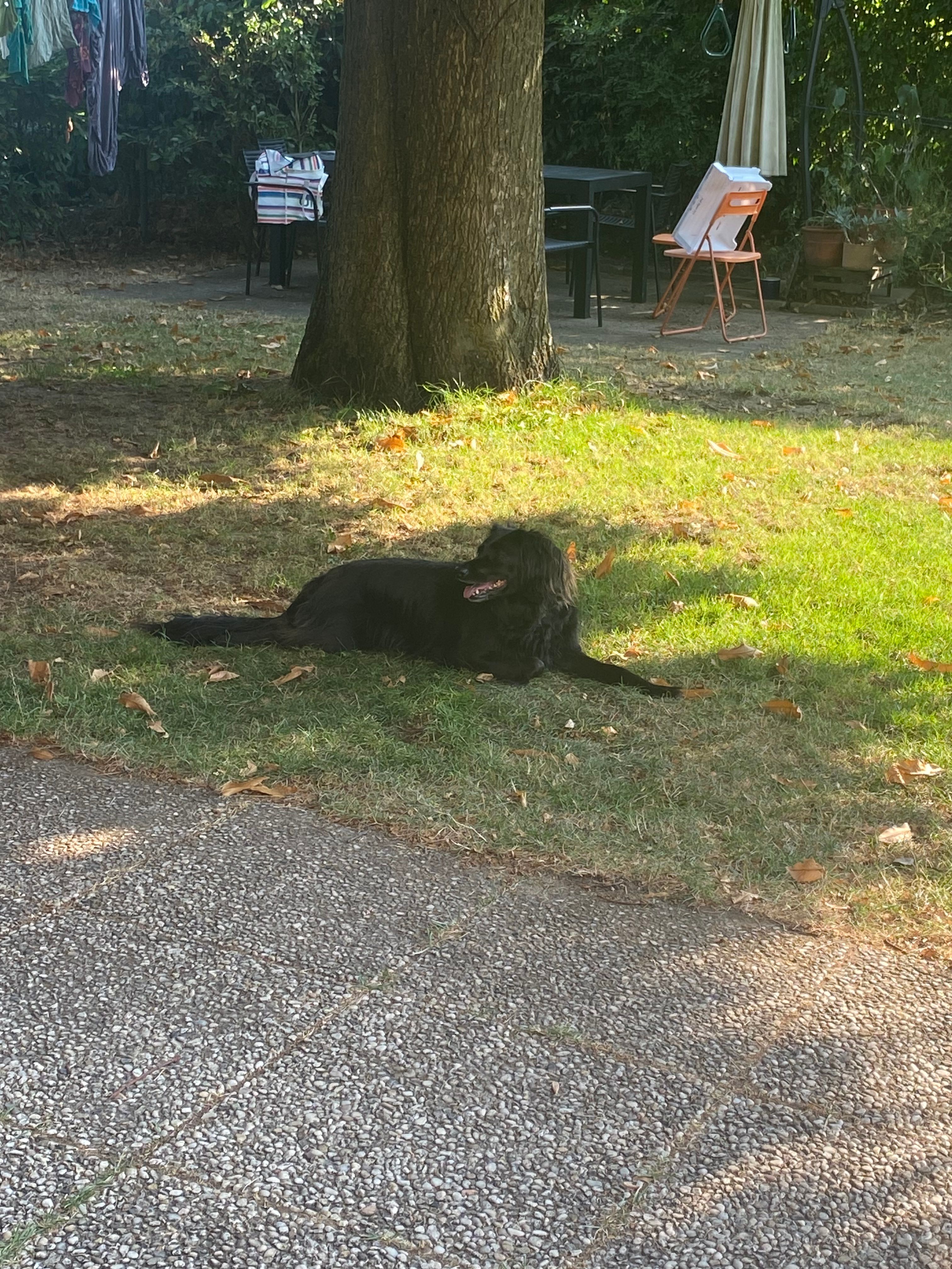 image-18