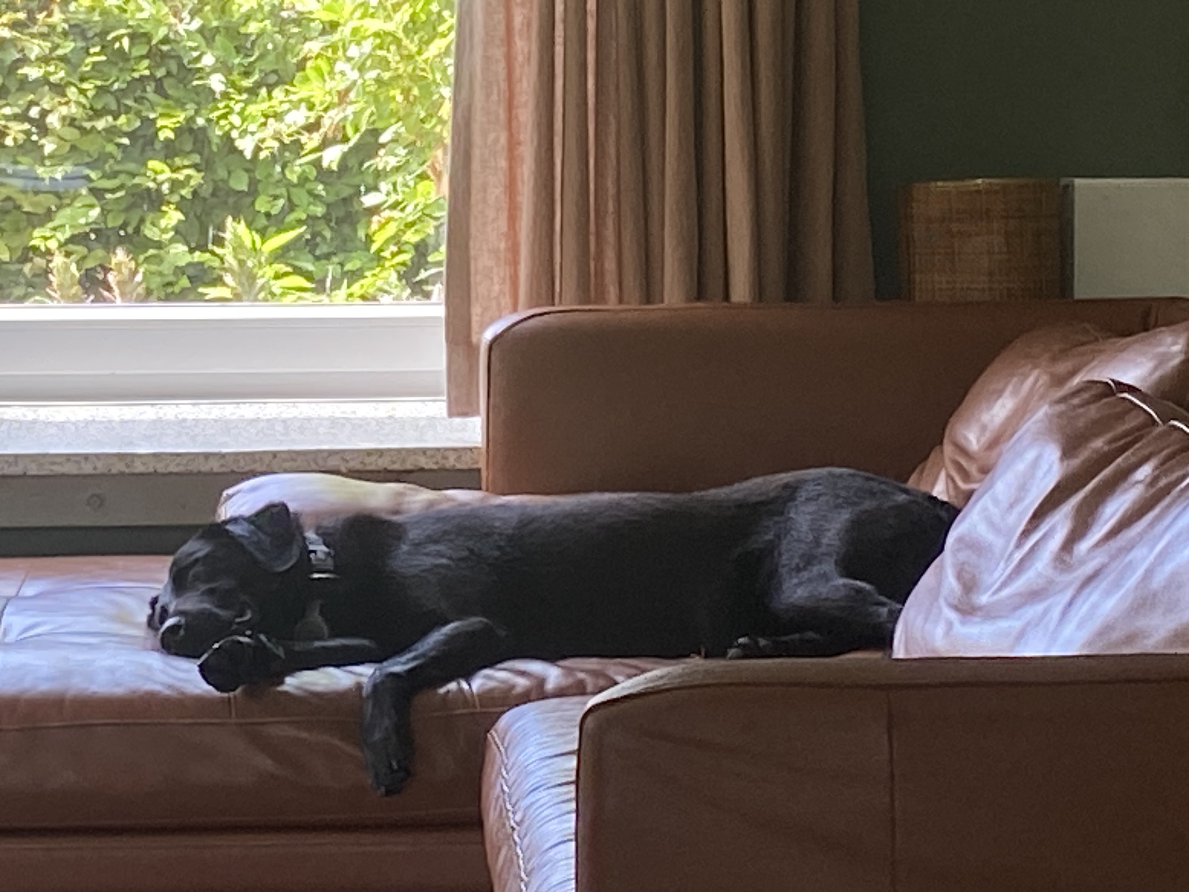 image-16